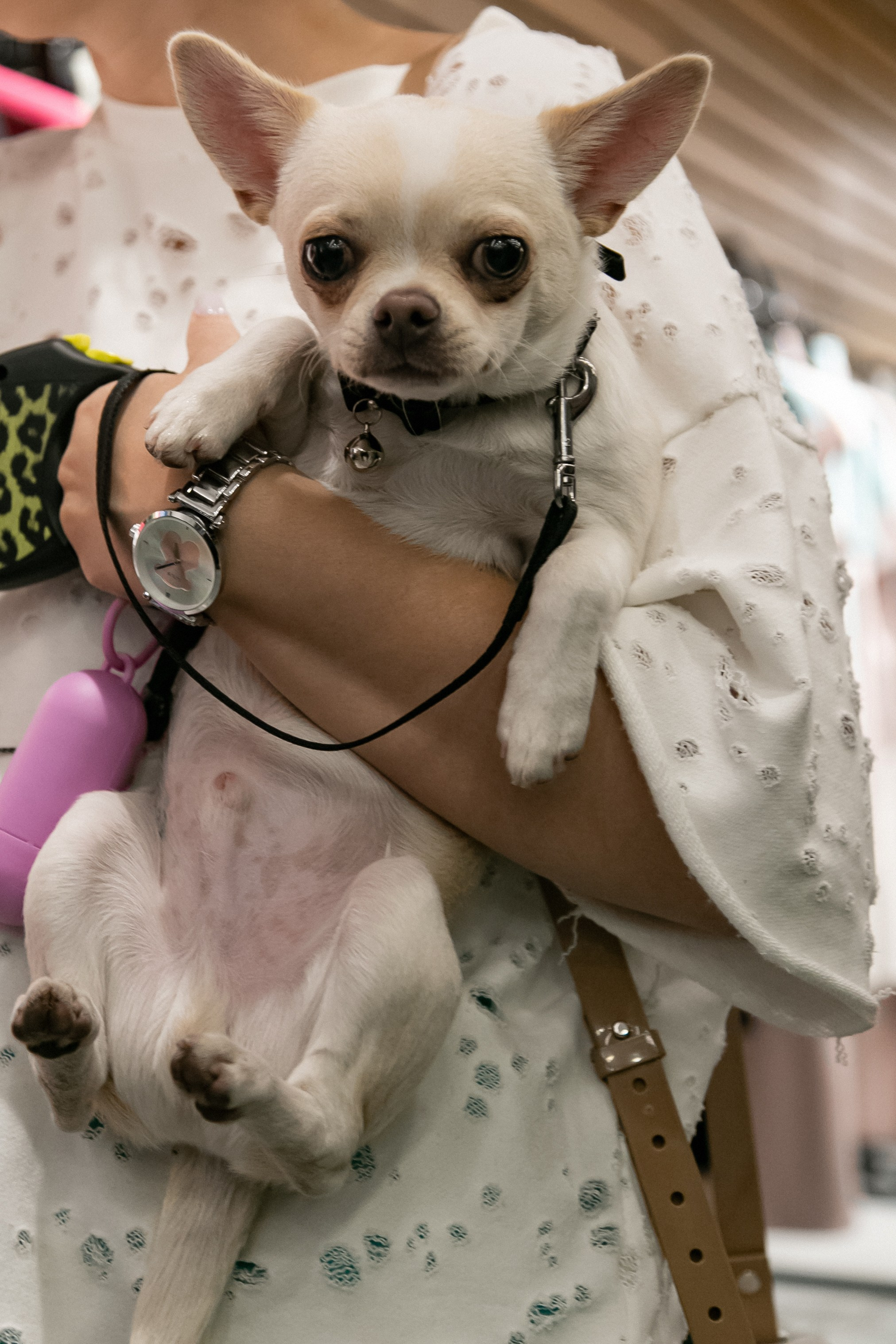 Dom Dизайнеров. Фотограф Иван Гуляев