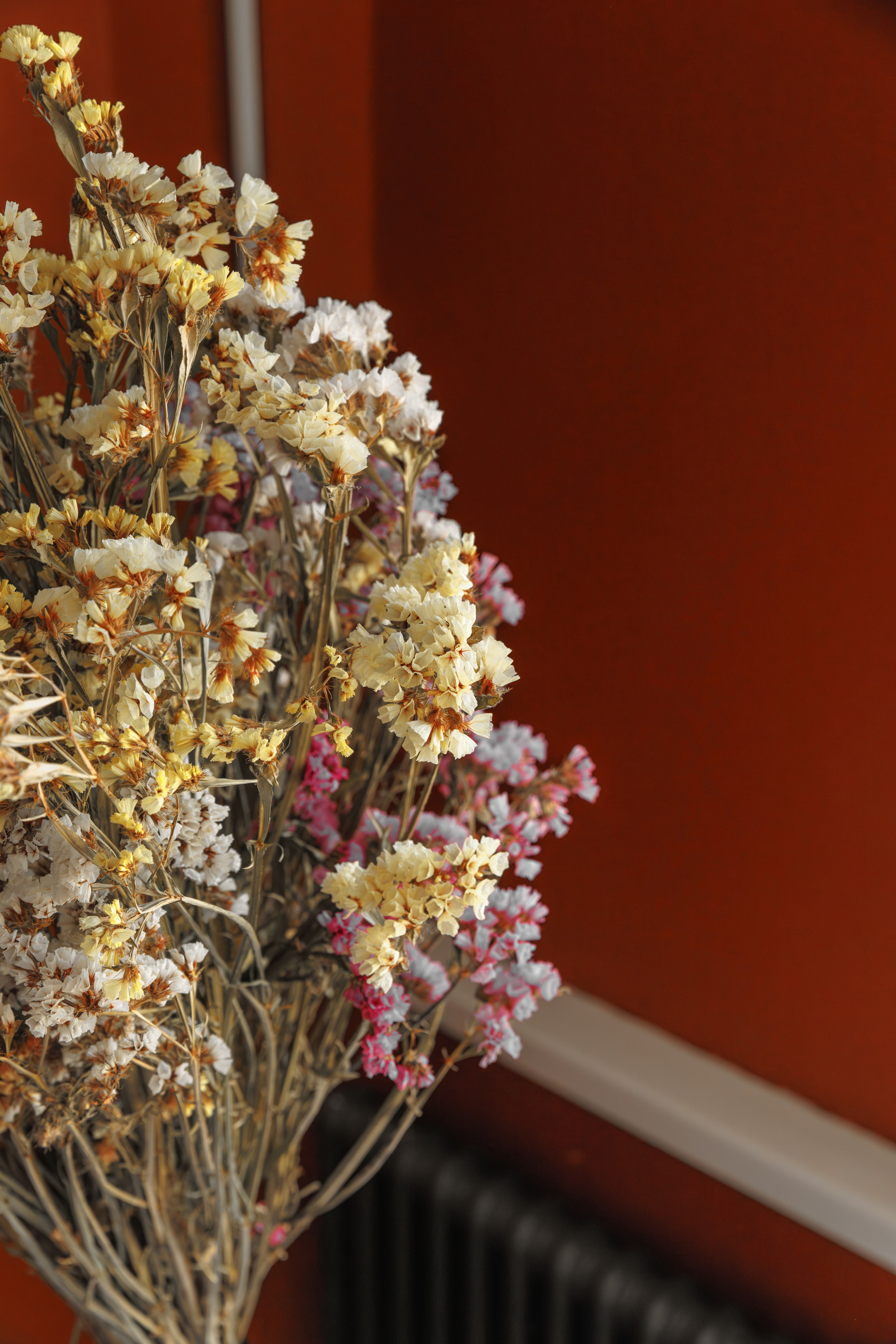 Огородники. Репортажный фотограф в Санкт-Петербурге Жолудев Владислав