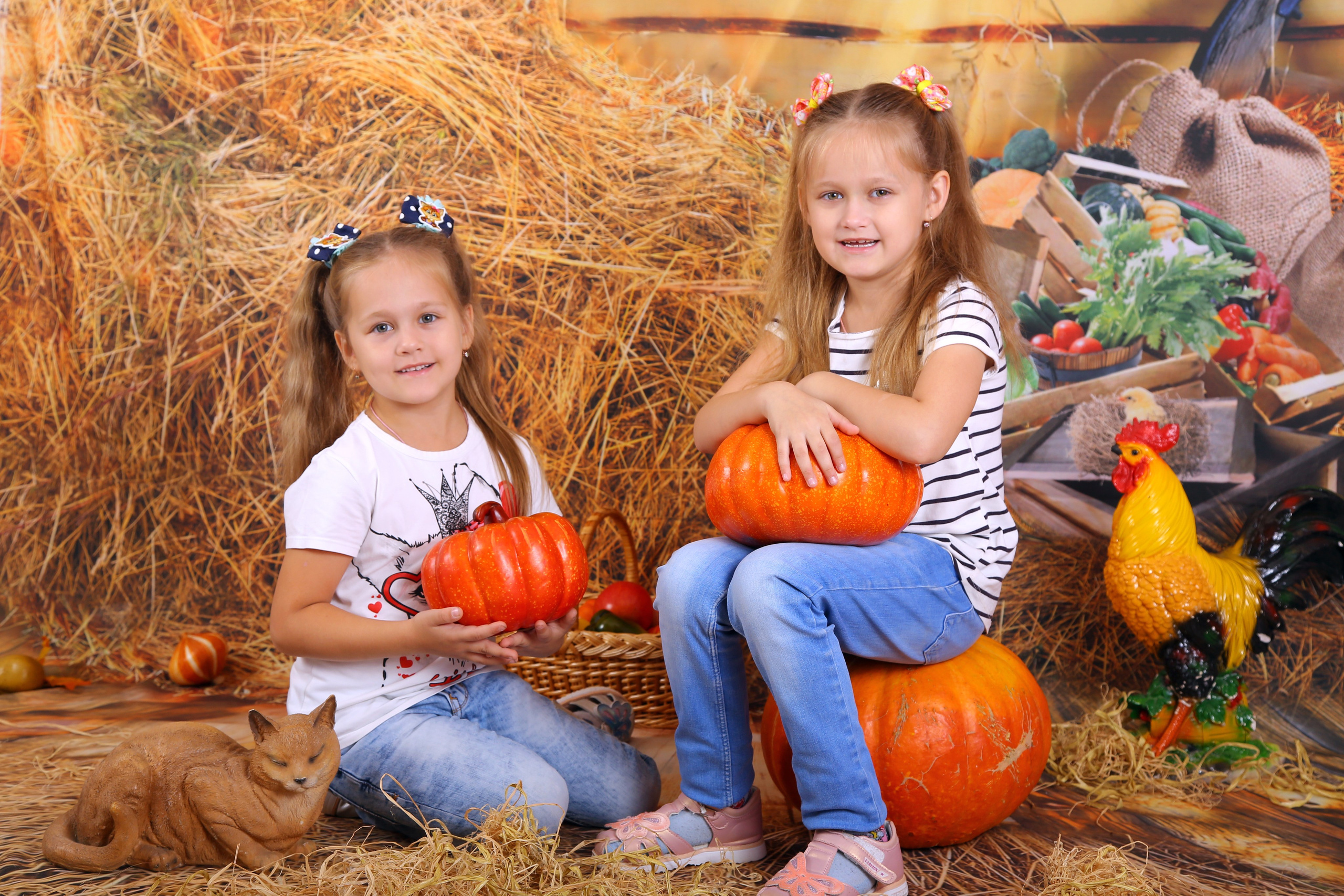 Удачный урожай. Выпускные альбомы в Нижнем Новгороде | Фотостудия Звездочет | Никулина Наталья