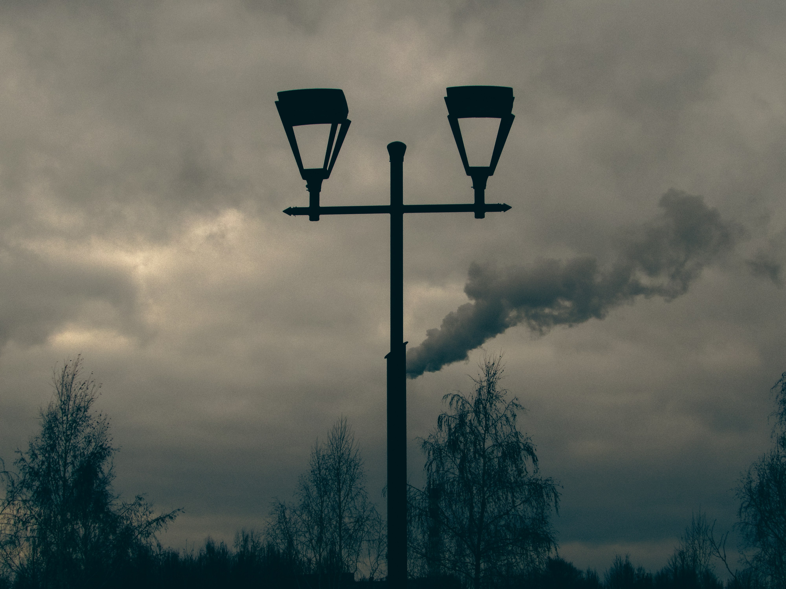 Одиночные. Фотограф Кузнецов Егор Липецк