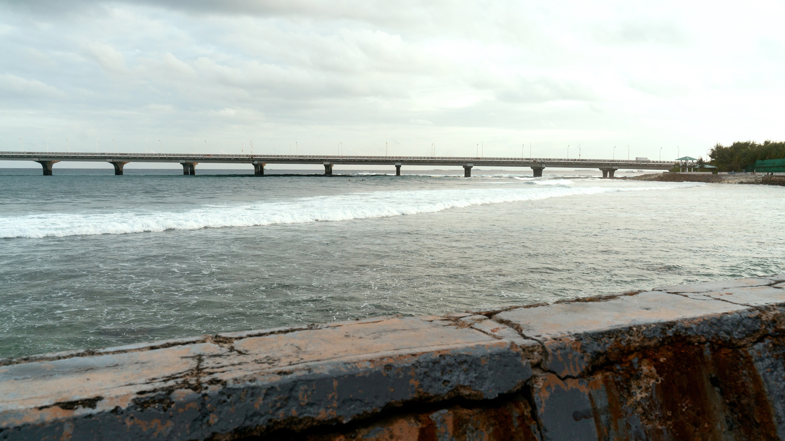 Ktokuda. Фотограф в Хабаровске. Фотография за 24 часа