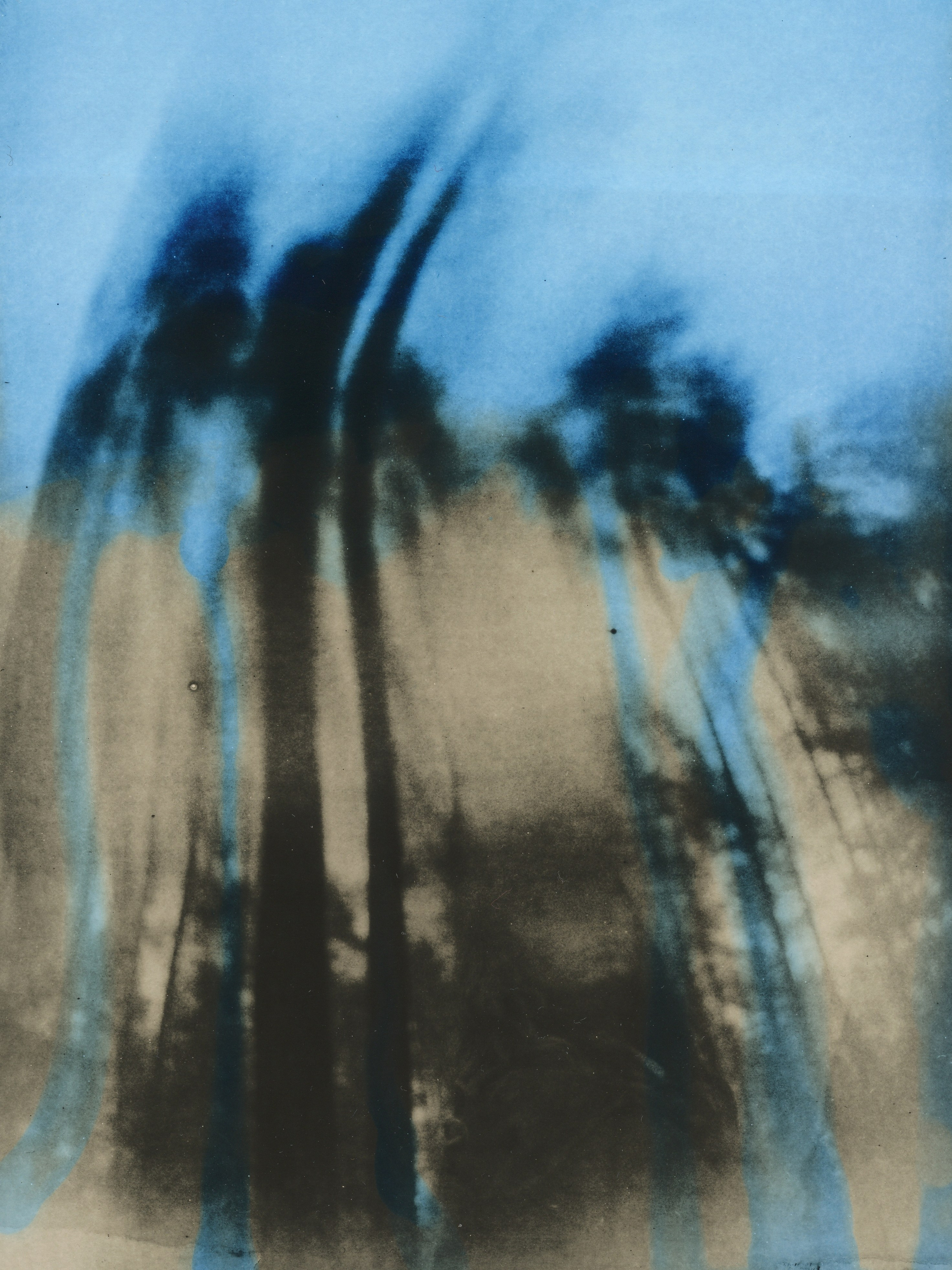 Dmitry Gudimenko | Analog visual artist