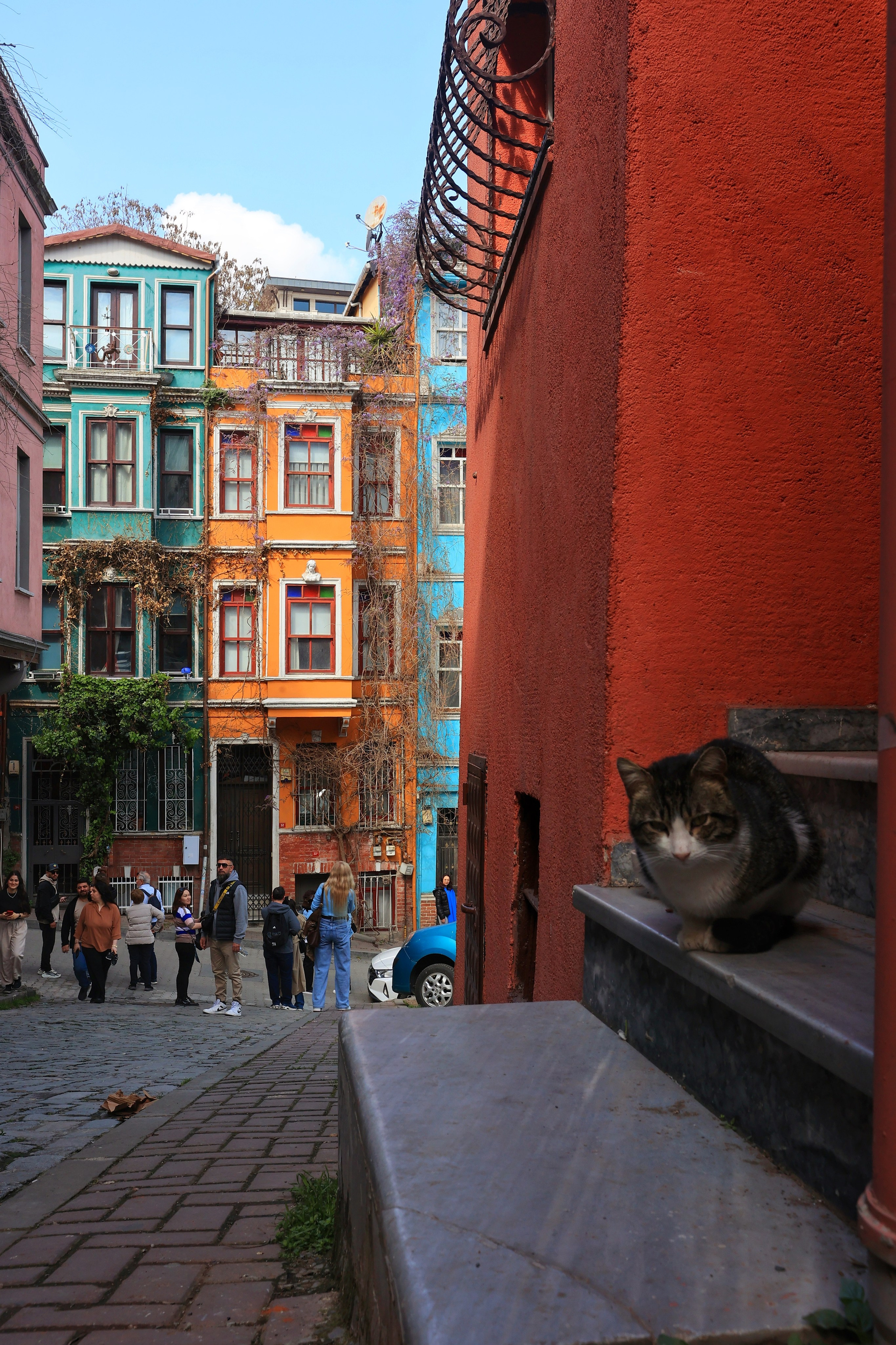 2025 год. Тащилин Сергей. Фотографии. Жизнь. Хобби