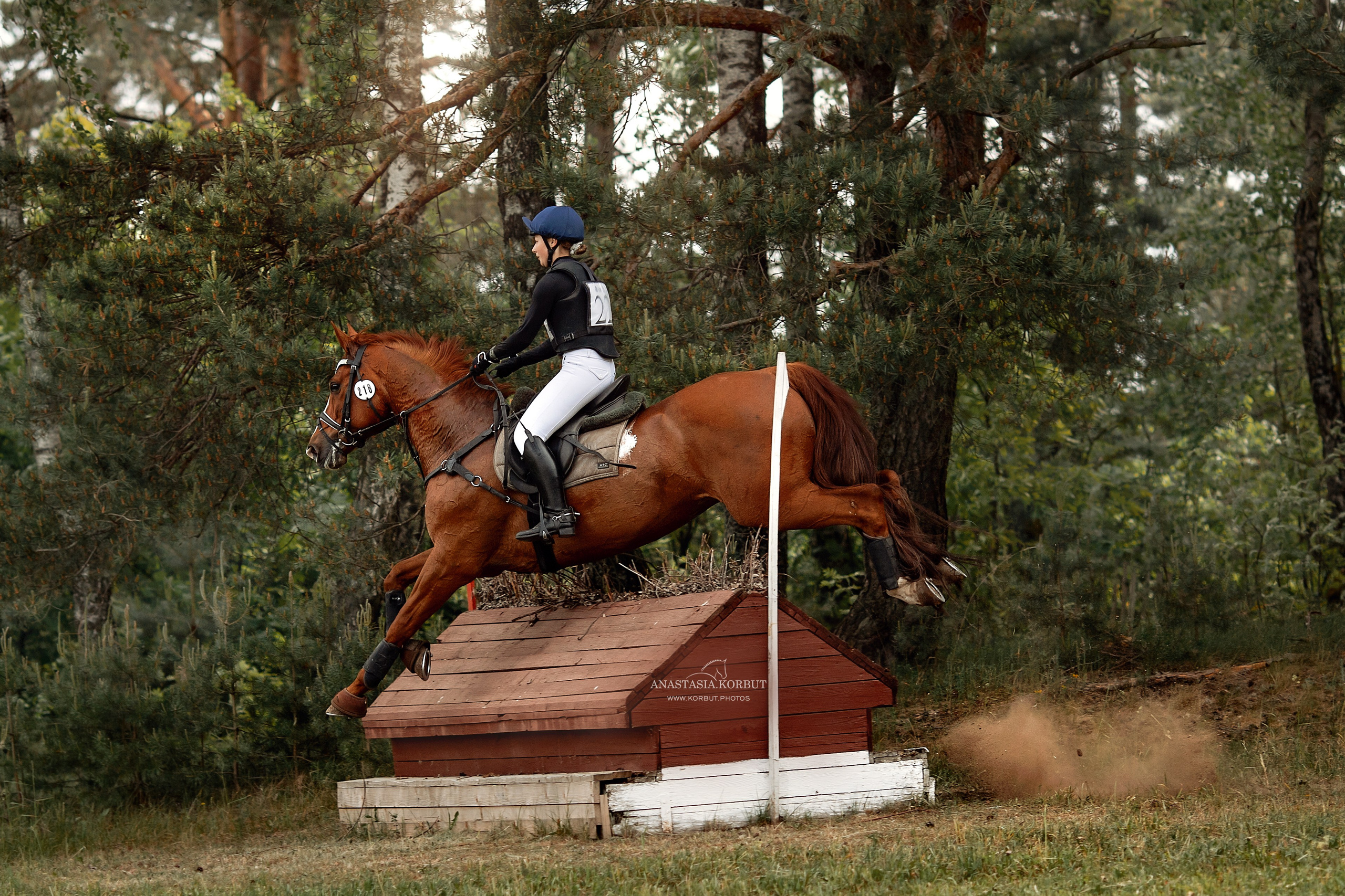 Кросс | Открытые Республиканские соревнования | Июнь 2023. Арт фотограф в Минске Анастасия Корбут
