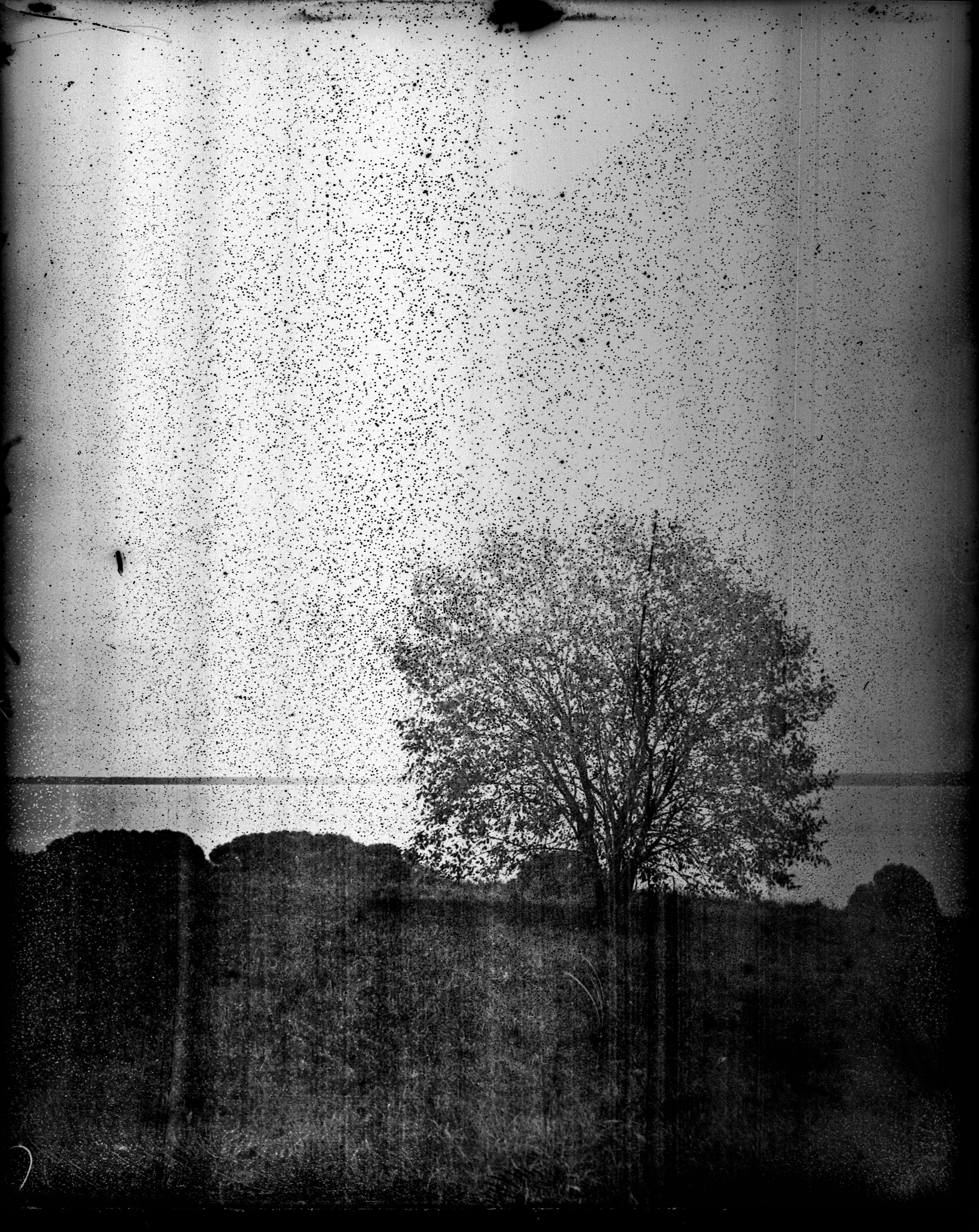 Glass plates. Darkroom aesthetics