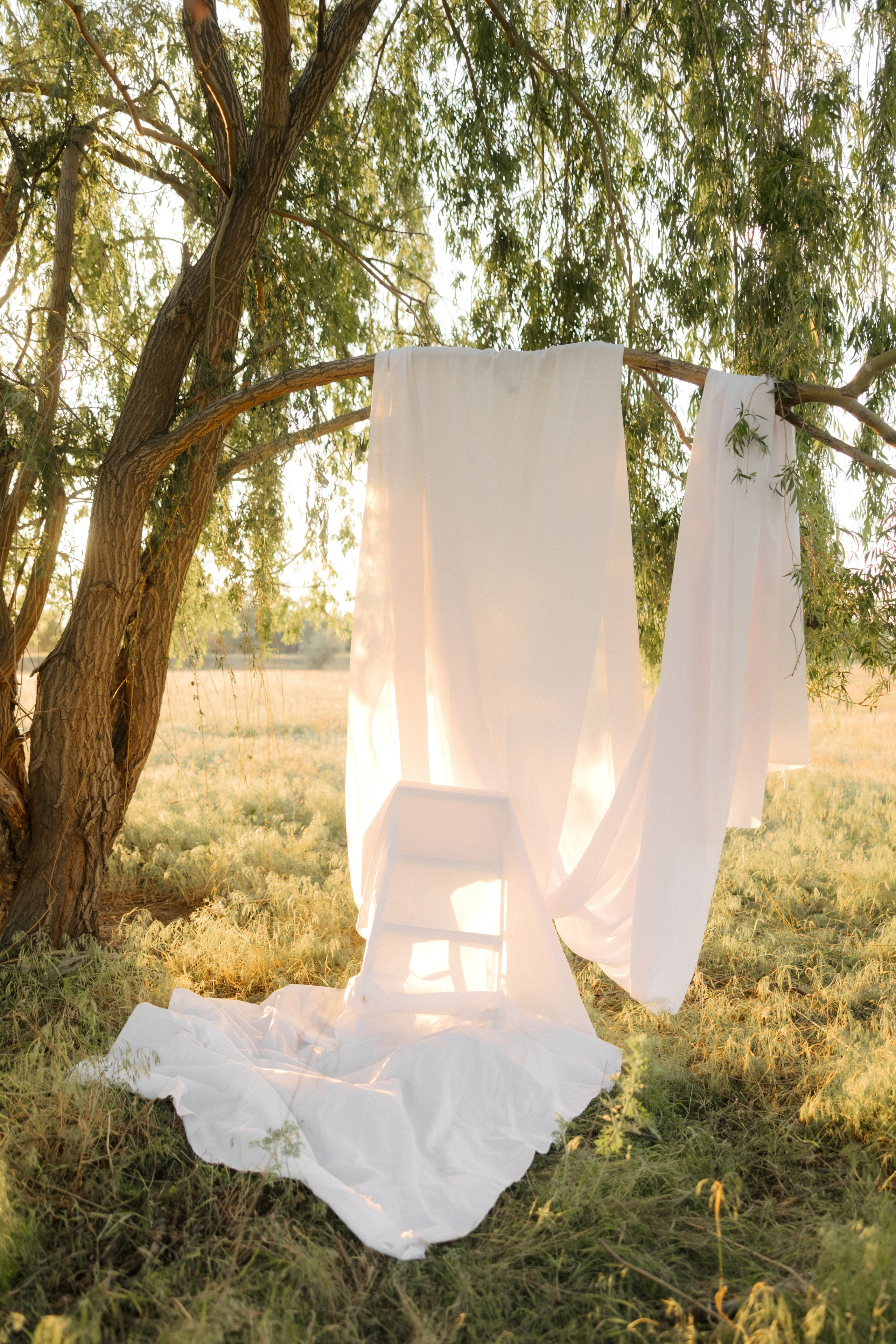 Ромашки. Свадебный и семейный фотограф Юлия Сафронова