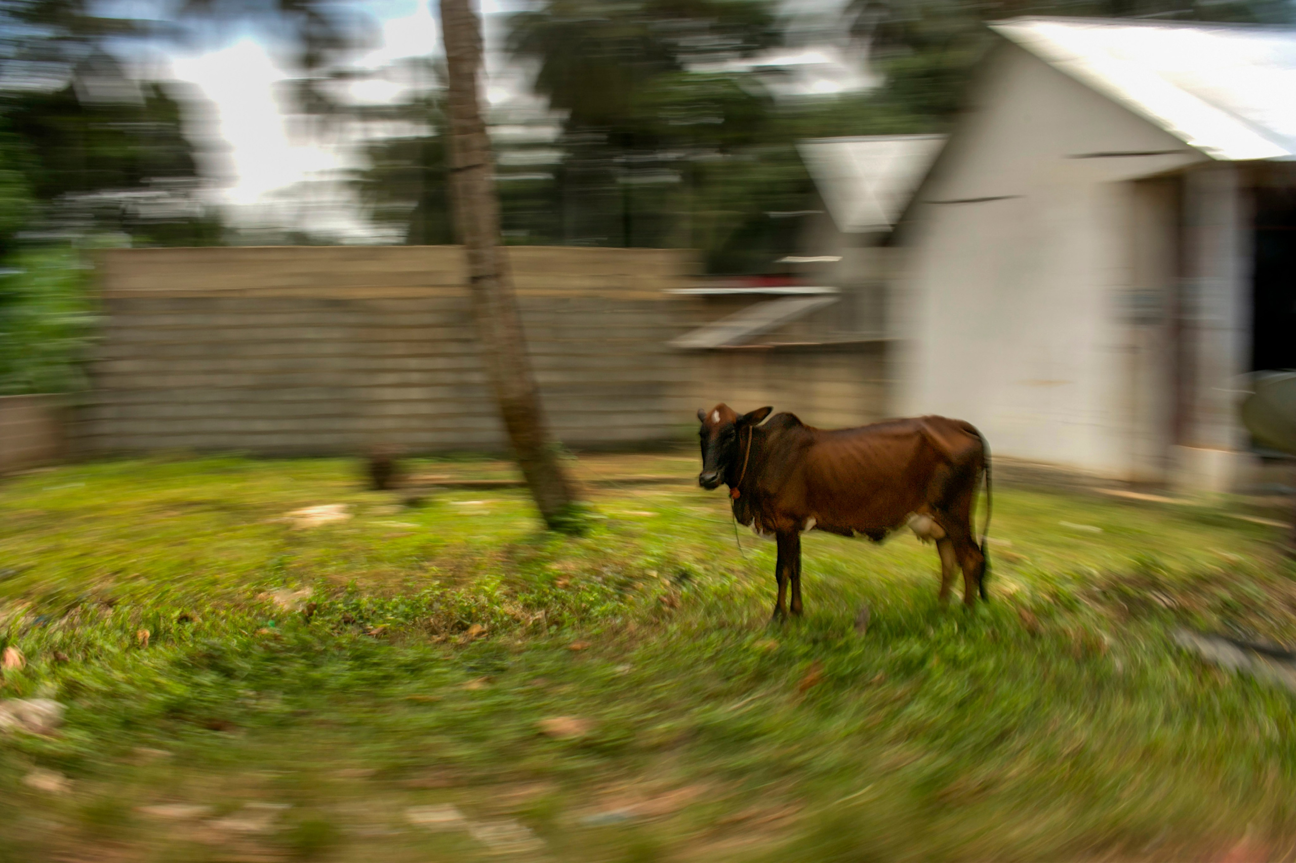 Выдержка. Фотограф Лагутин Анатолий
