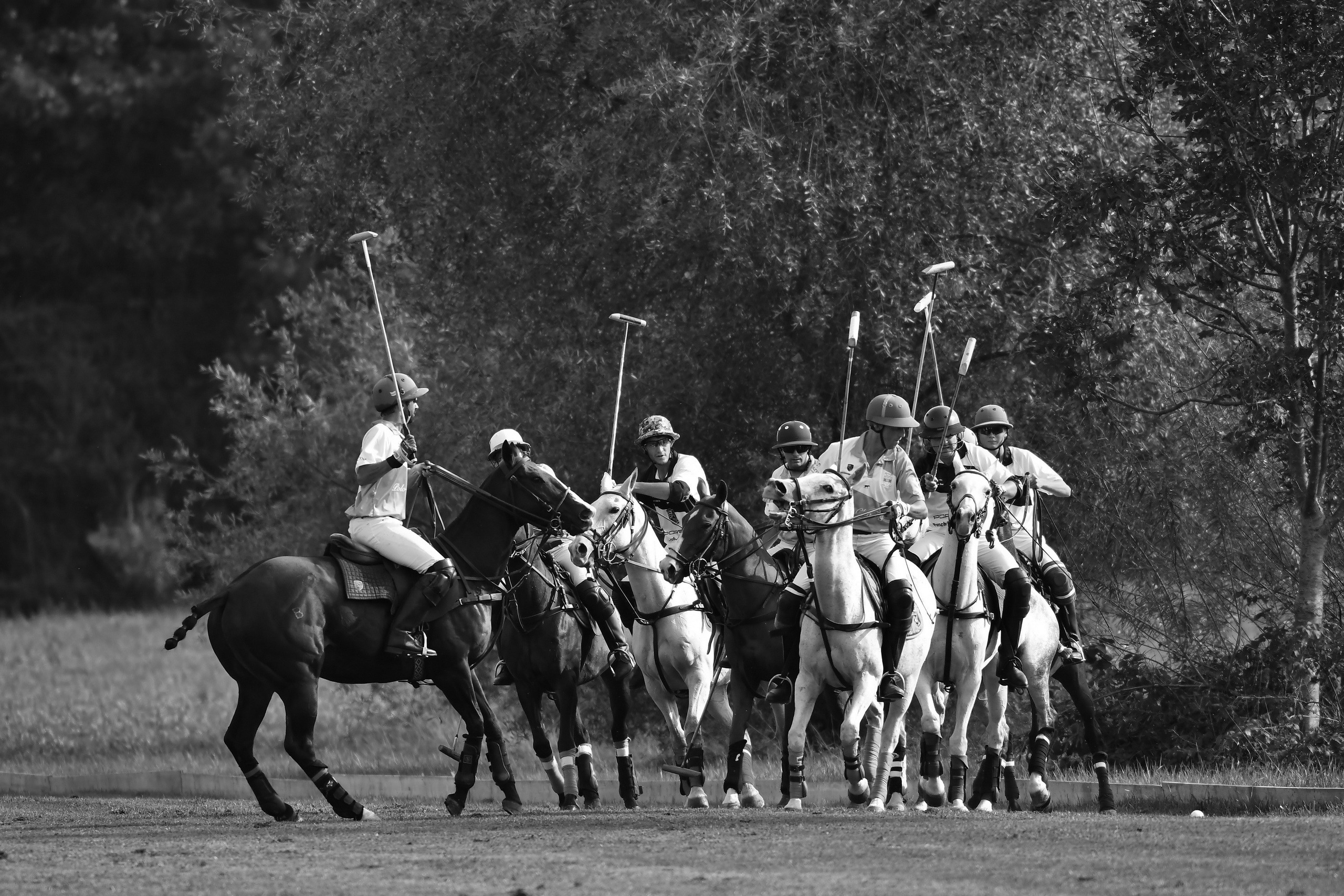 Polo art photos. Art photos of horses — ARTUR BABOEV | Photographer