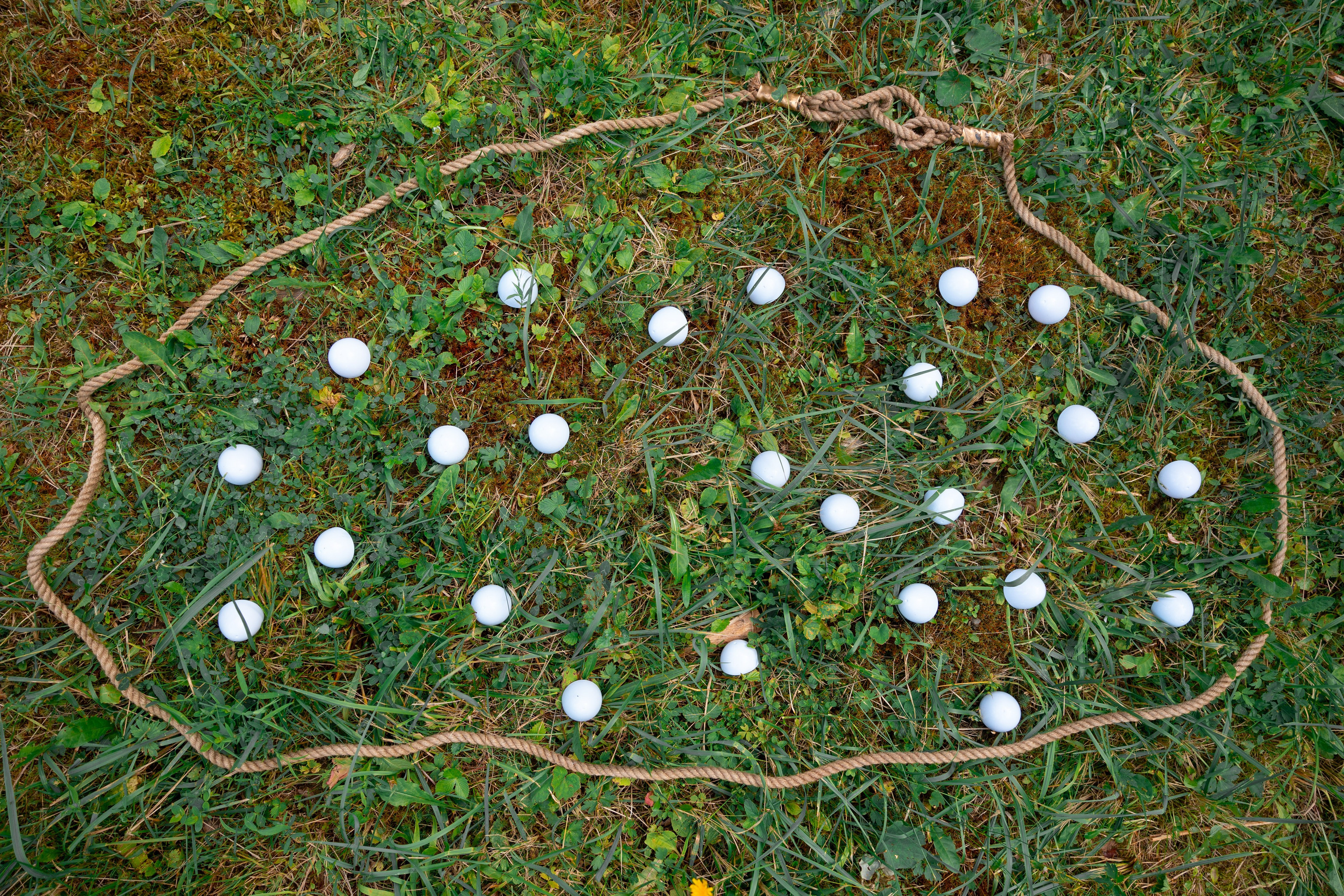 Тимбилдинг с банкетом. Ваш фотограф и видеограф