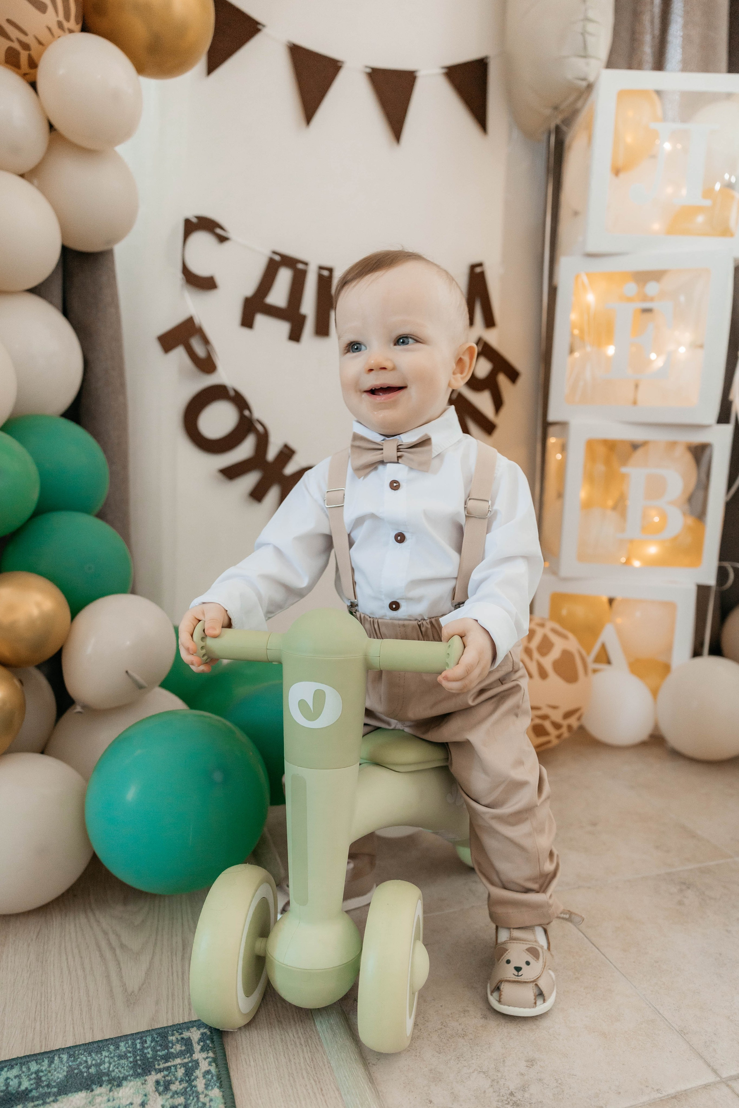 Лев. 2024 г. Персональный фотограф Катерина Литвинова