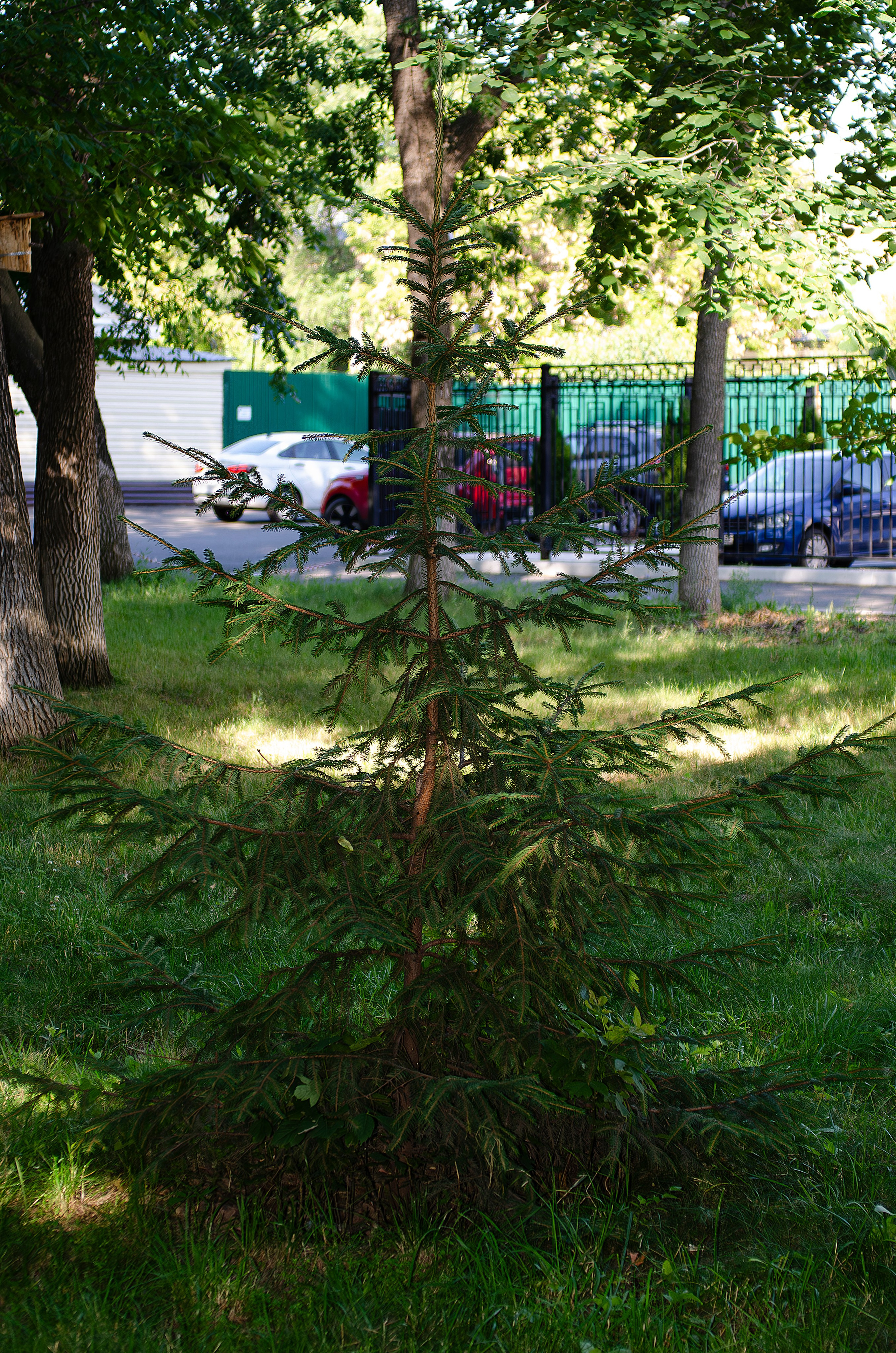 Дары Природы. Sreda fotoArt