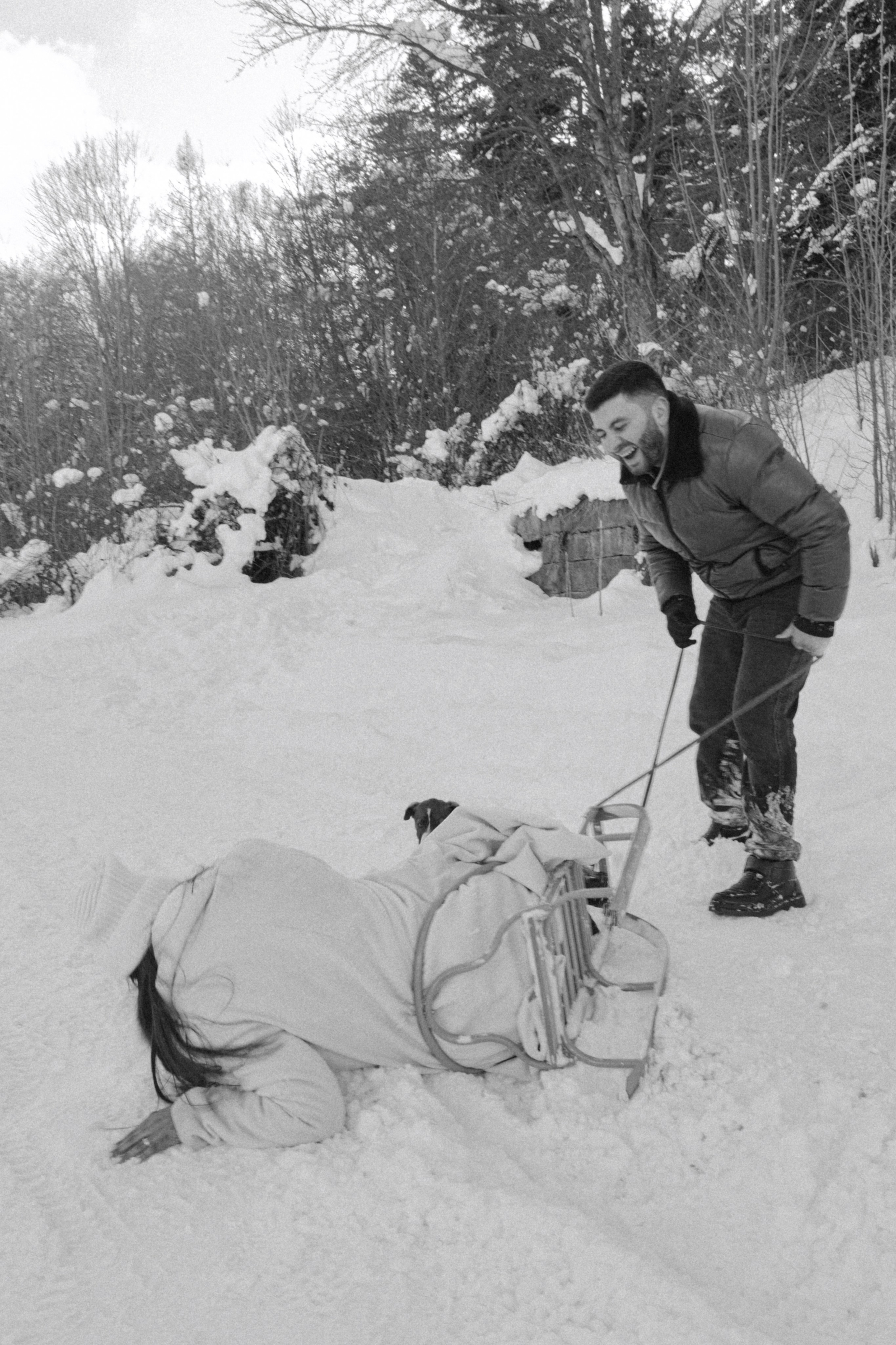 Снежинки. Գլխավոր