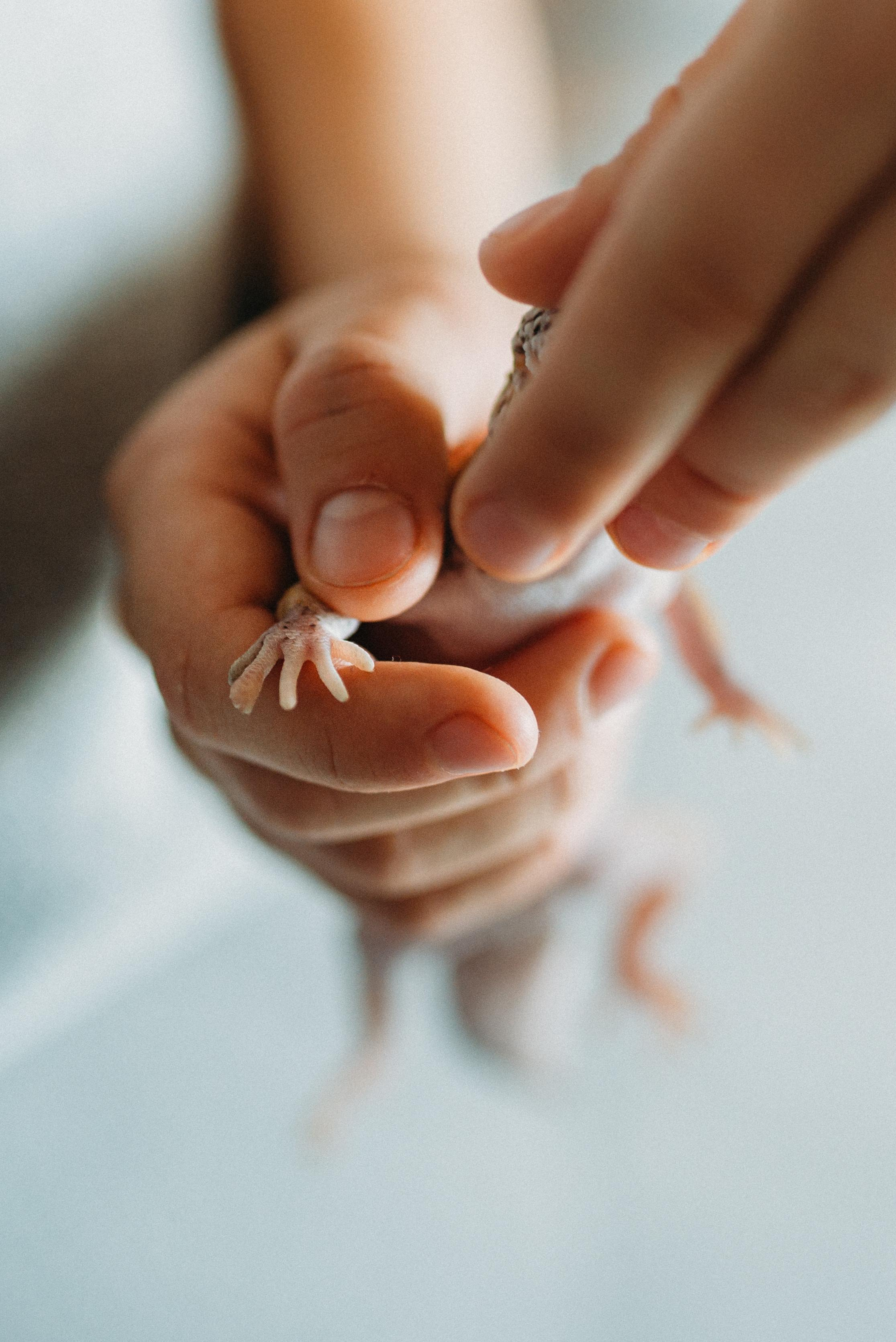 Дом с драконом. Семейный и детский фотограф в Санкт-Петербурге Маша Бичан