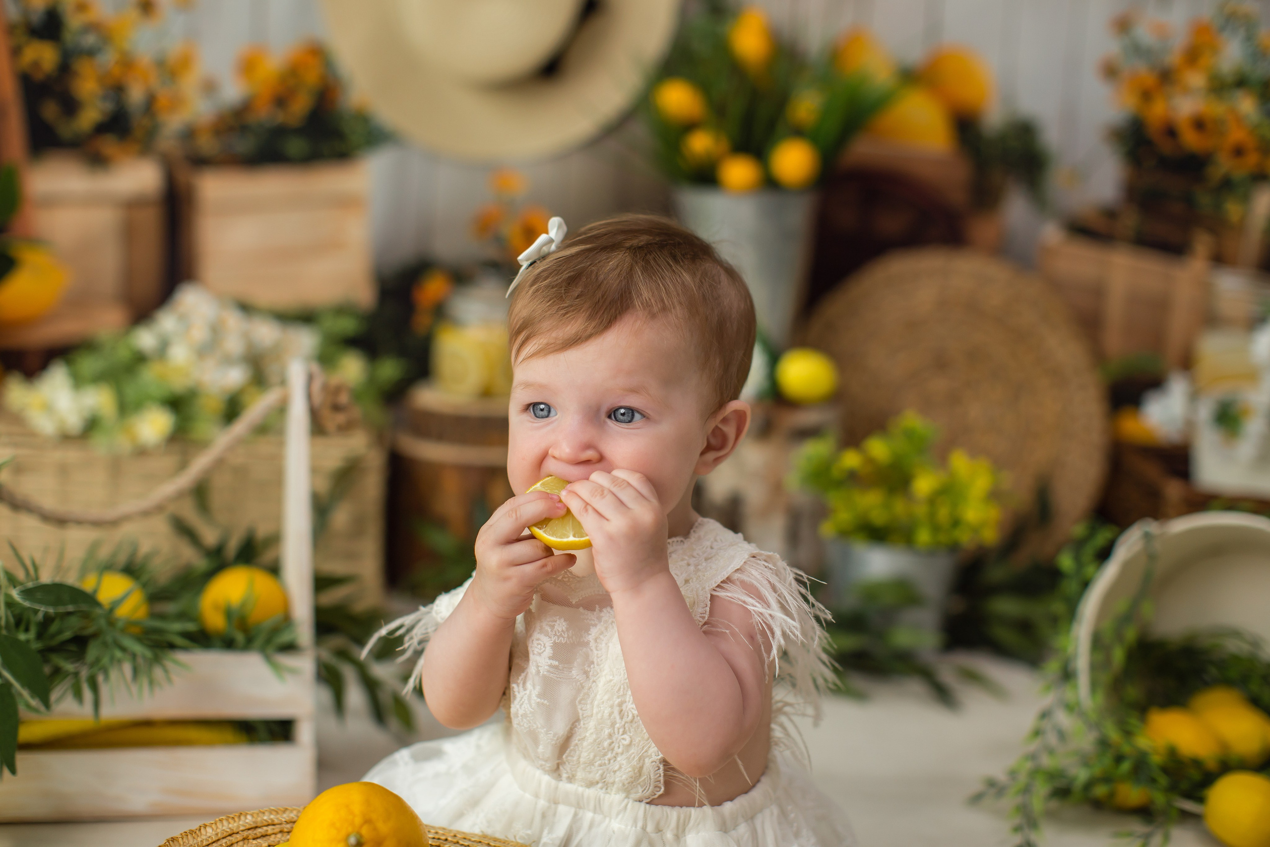 Фотодень «Лимончики» от 6 месяцев до 4 лет» 5.07.26 запись идёт. Детский семейный фотограф на первый годик город Новосибирск Дымова Светлана пакеты всё включено 1-3 года