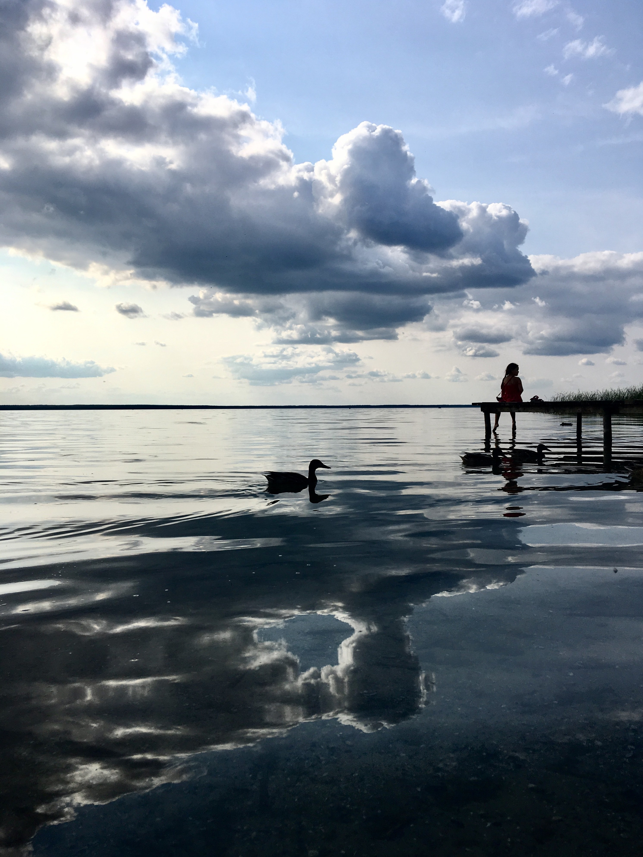 Фотографии. Детский и семейный фотограф Зоя Павкина