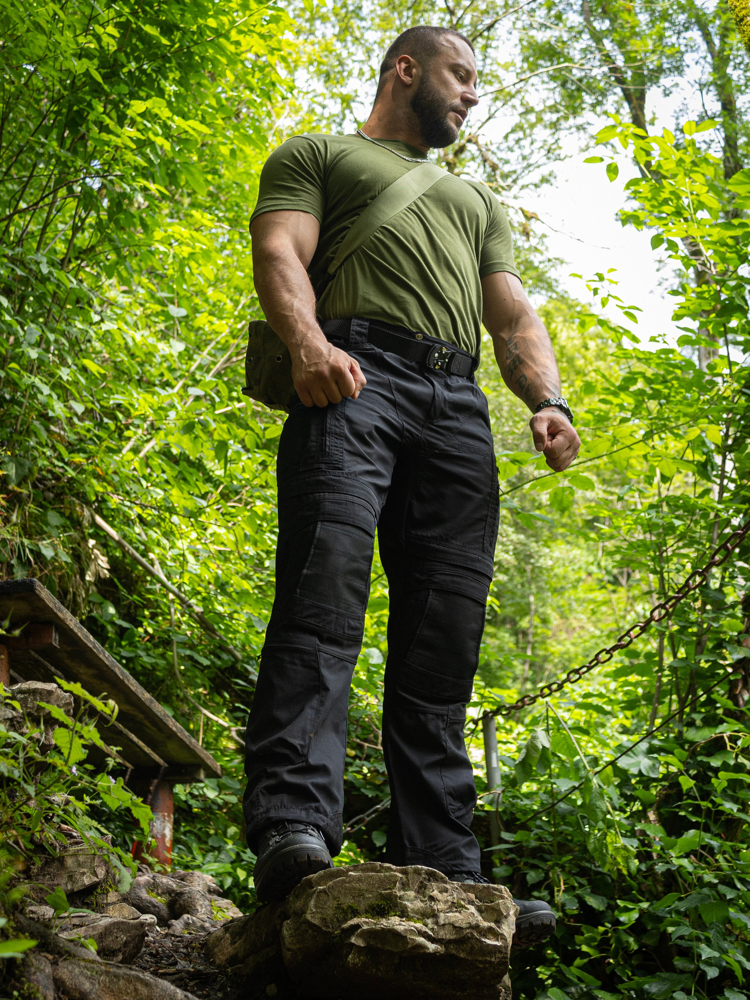 Тисо-самшитовая роща. Фото для маркетплейсов в самых сочных локациях города Сочи