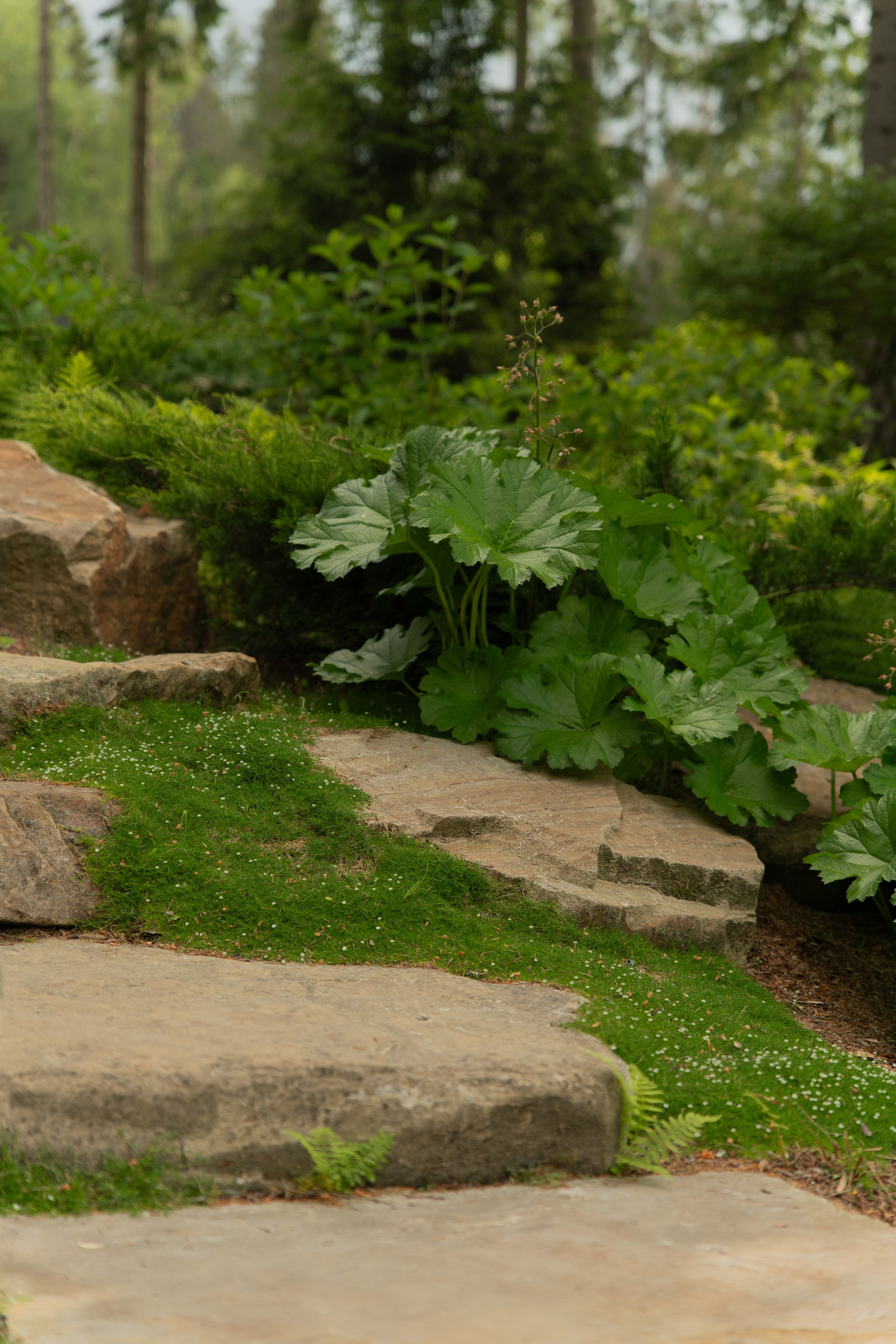 Участок в каральском стиле. Автомобильный фотограф Светлана Усова