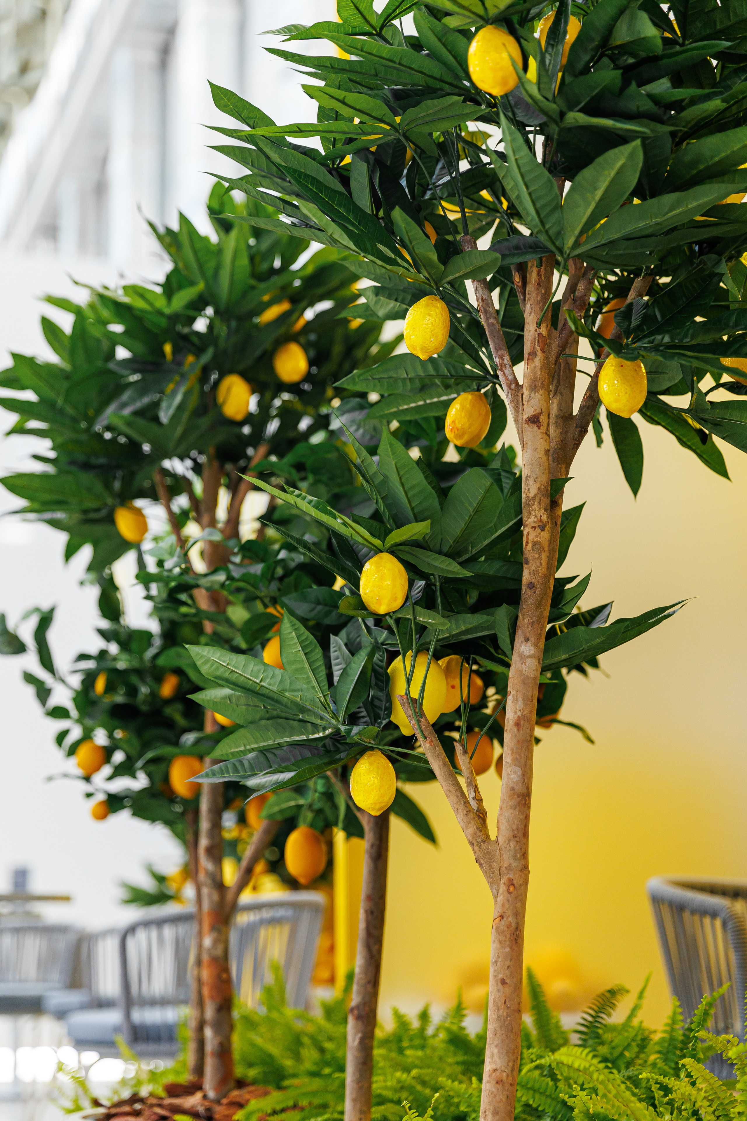 Финополис | Главный медиа-центр Сириус. Репортажный фотограф | Роза Хутор Красная Поляна Сочи Сириус