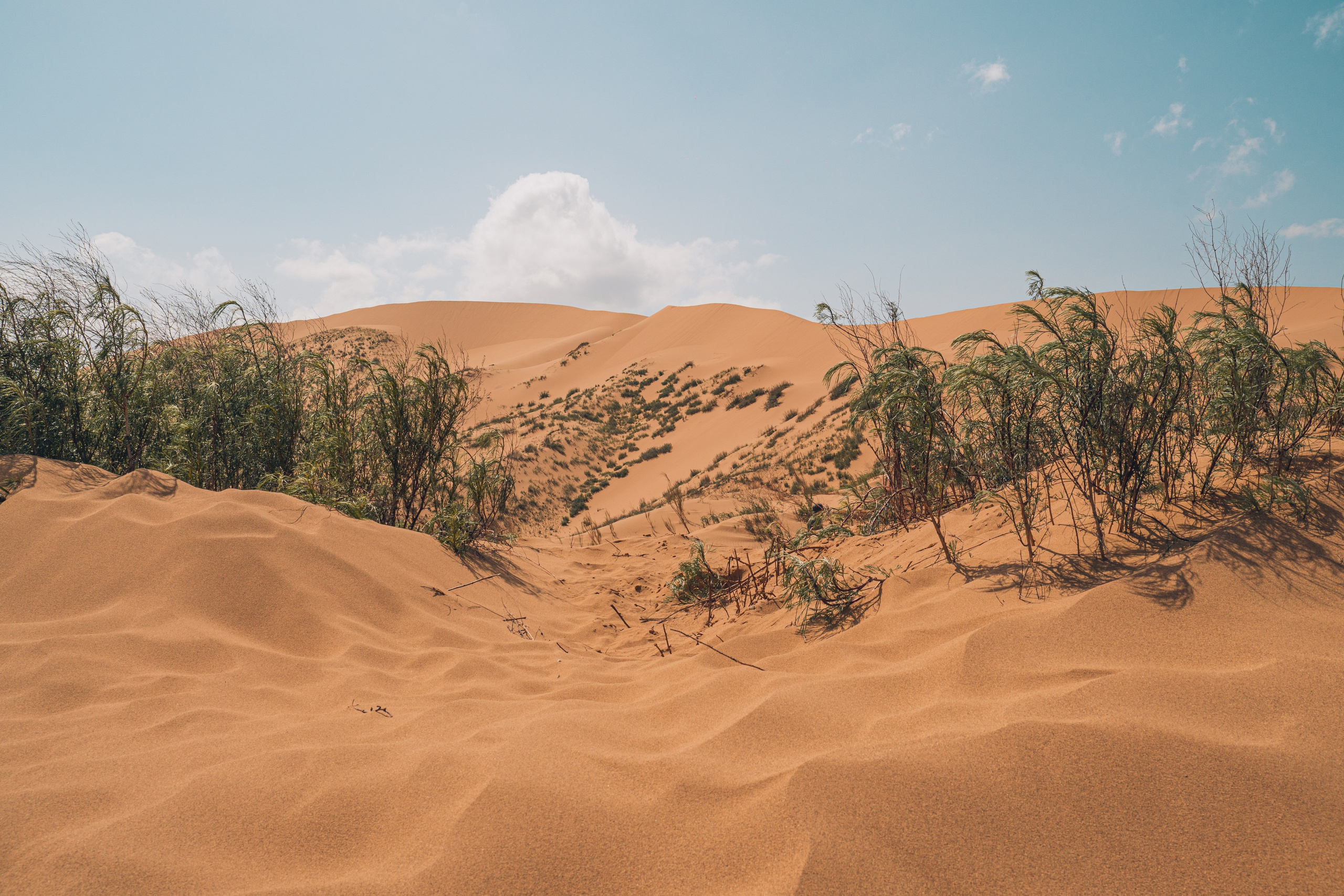 Дагестан. Gusarov Travel Photography