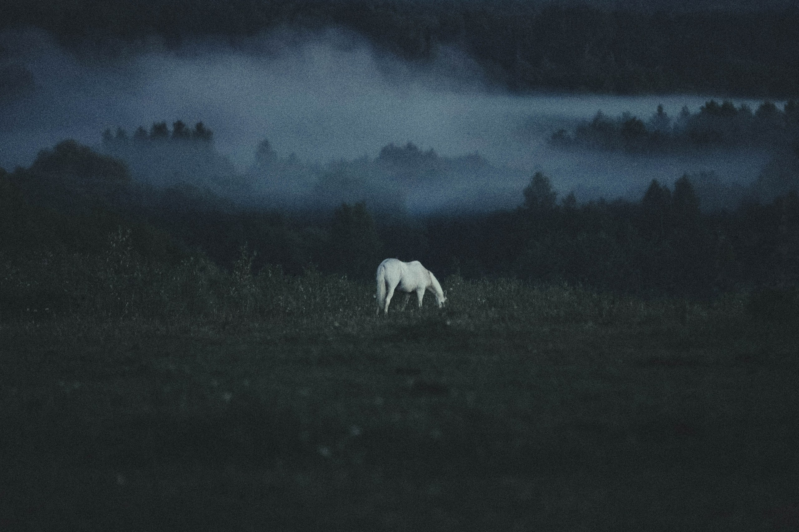 Репортажи. Фотограф, режиссёр, художник Аполлинария Лиманская