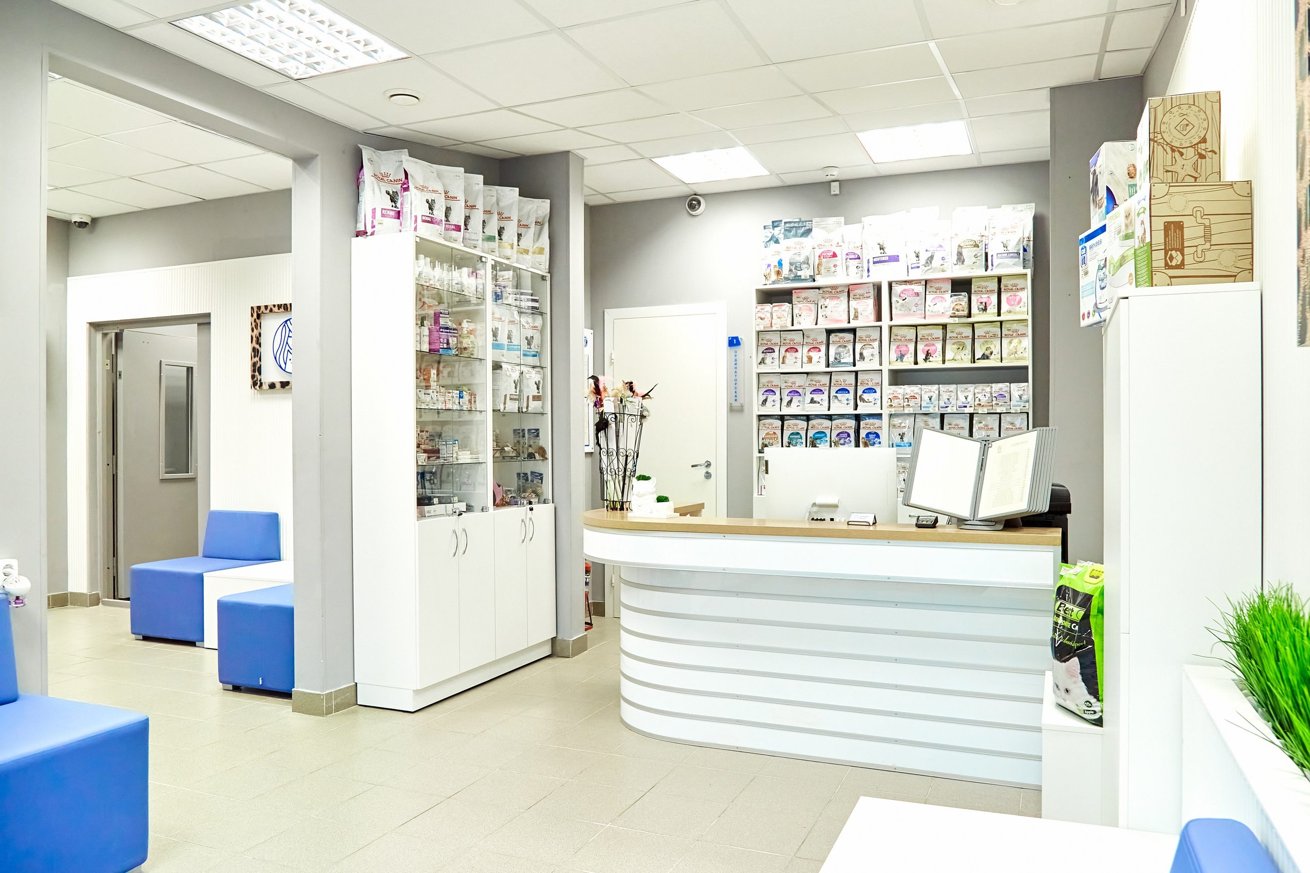 Клиника кошек. Фотограф Анастасия Леонтьева Санкт-Петербург