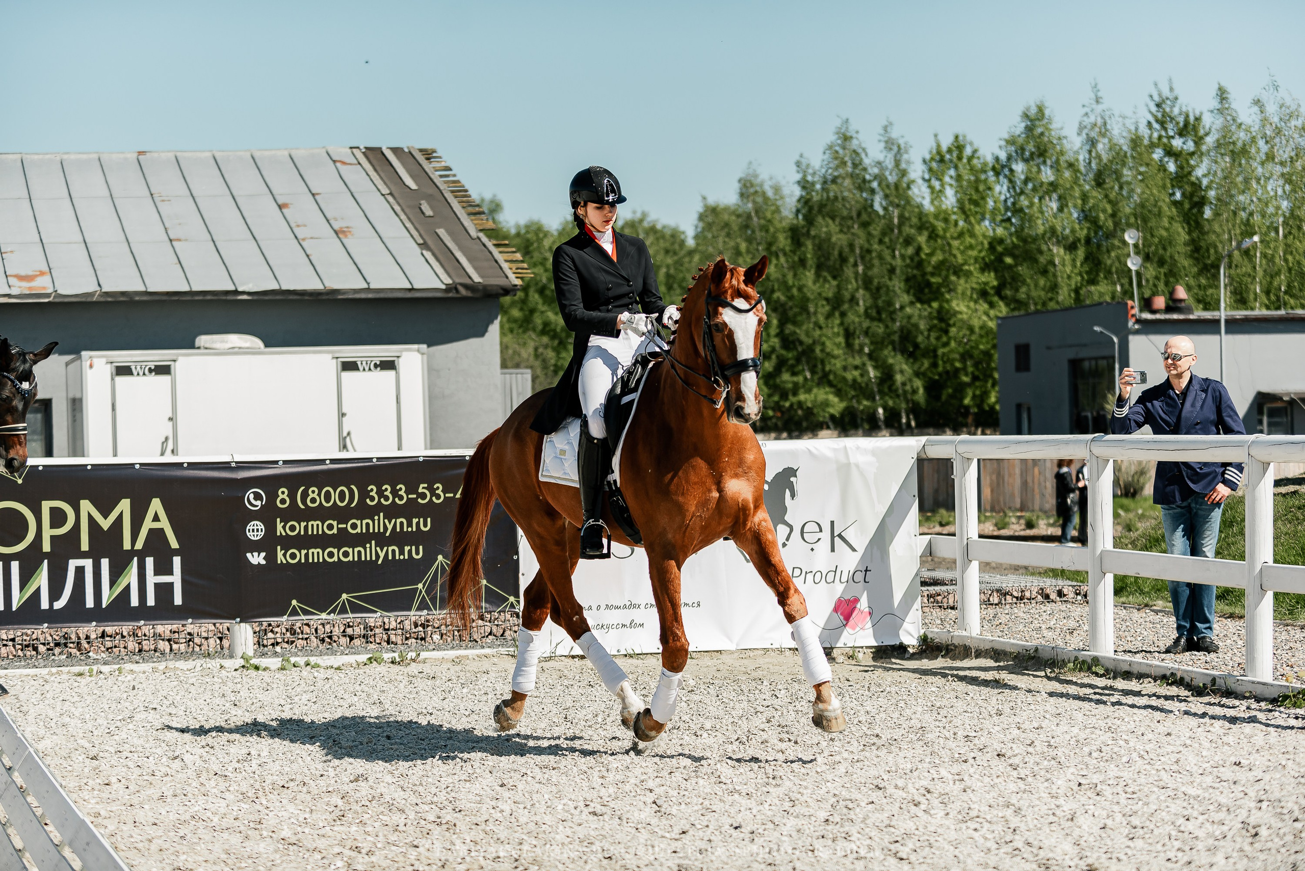 РЕПОРТАЖ МКК ВОЛЬТ «LA TULIPS». Конный фотограф Куракина Дарья • Фотосессии с лошадьми
