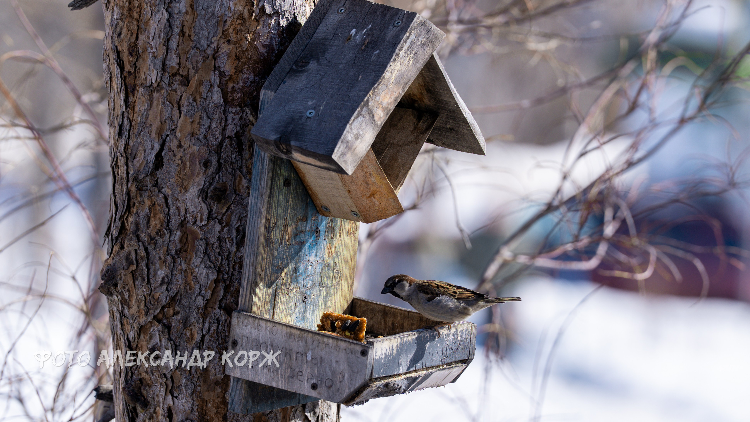Северный поселок Айхал. Фотографии и видеосъемка, Айхал, Удачный, Якутия. Фотографии Айхал