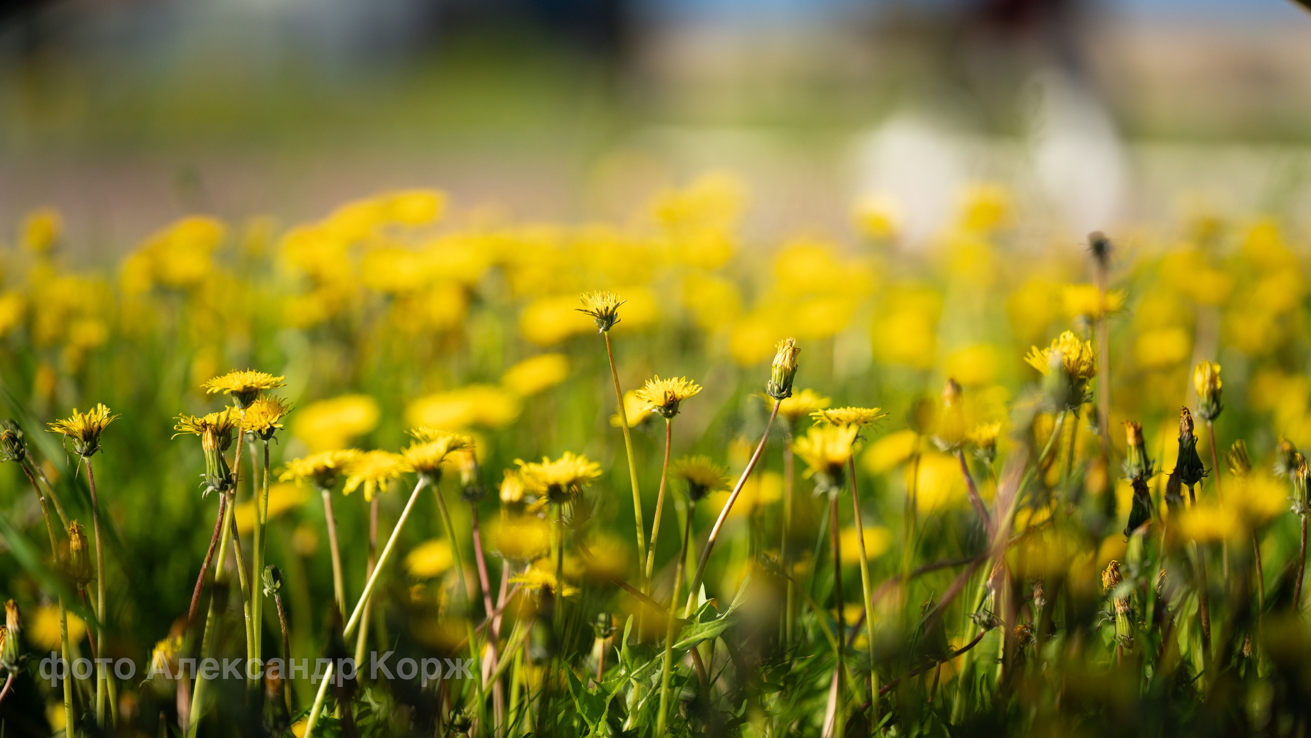 Фотографии Северного поселка Айхал. Фотографии и видеосъемка, Айхал, Удачный, Якутия. Фотографии Айхал