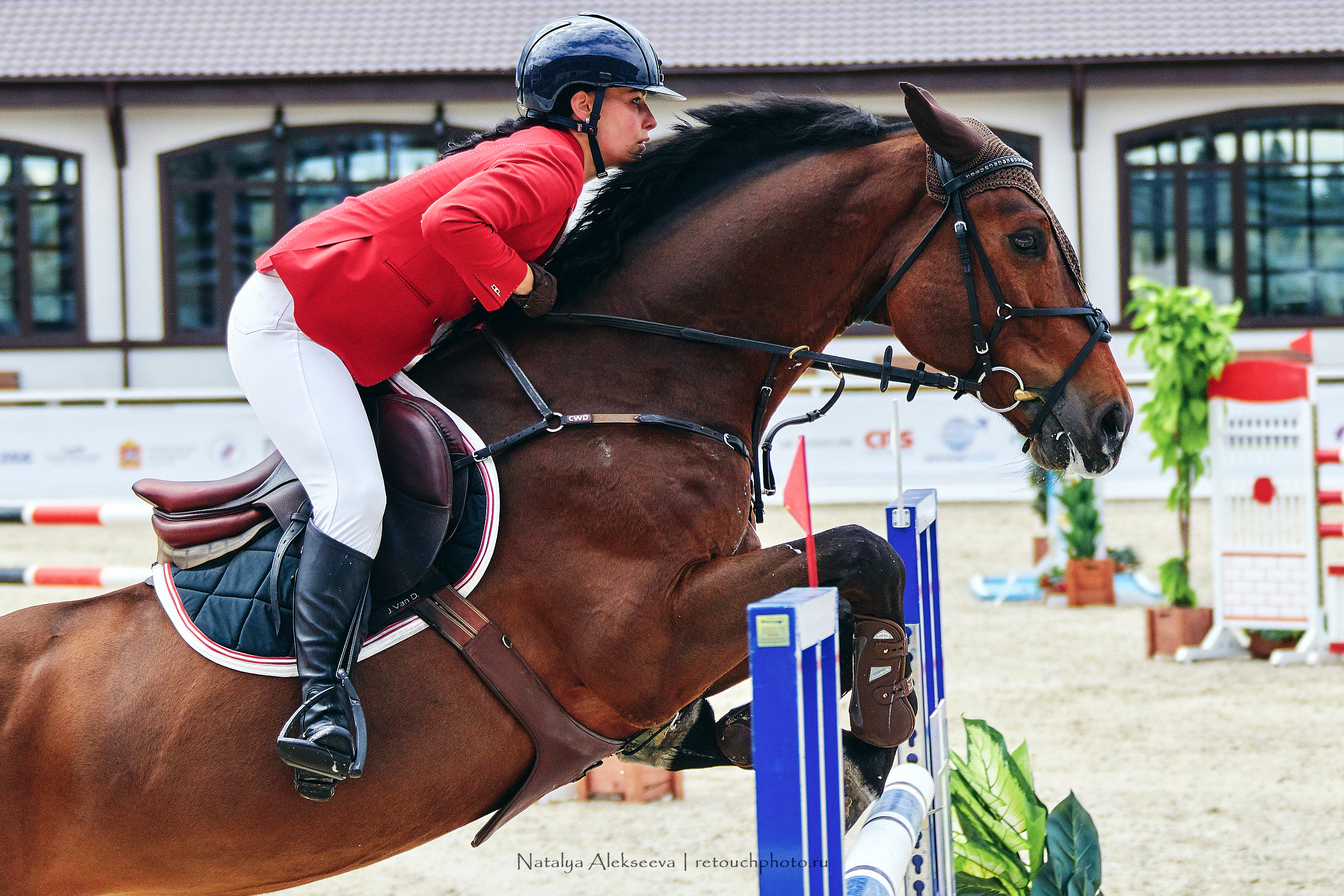 Чемпионат Московской области по конкуру, Maxima Stables | 07'2019. Репортажный фотограф и ретушер в Москве Наталья Алексеева