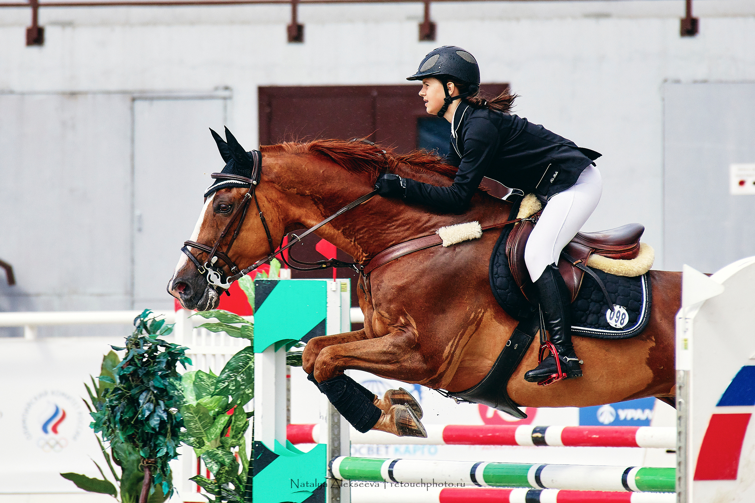 Чемпионат Московской области по конкуру, Maxima Stables | 07'2019. Репортажный фотограф и ретушер в Москве Наталья Алексеева