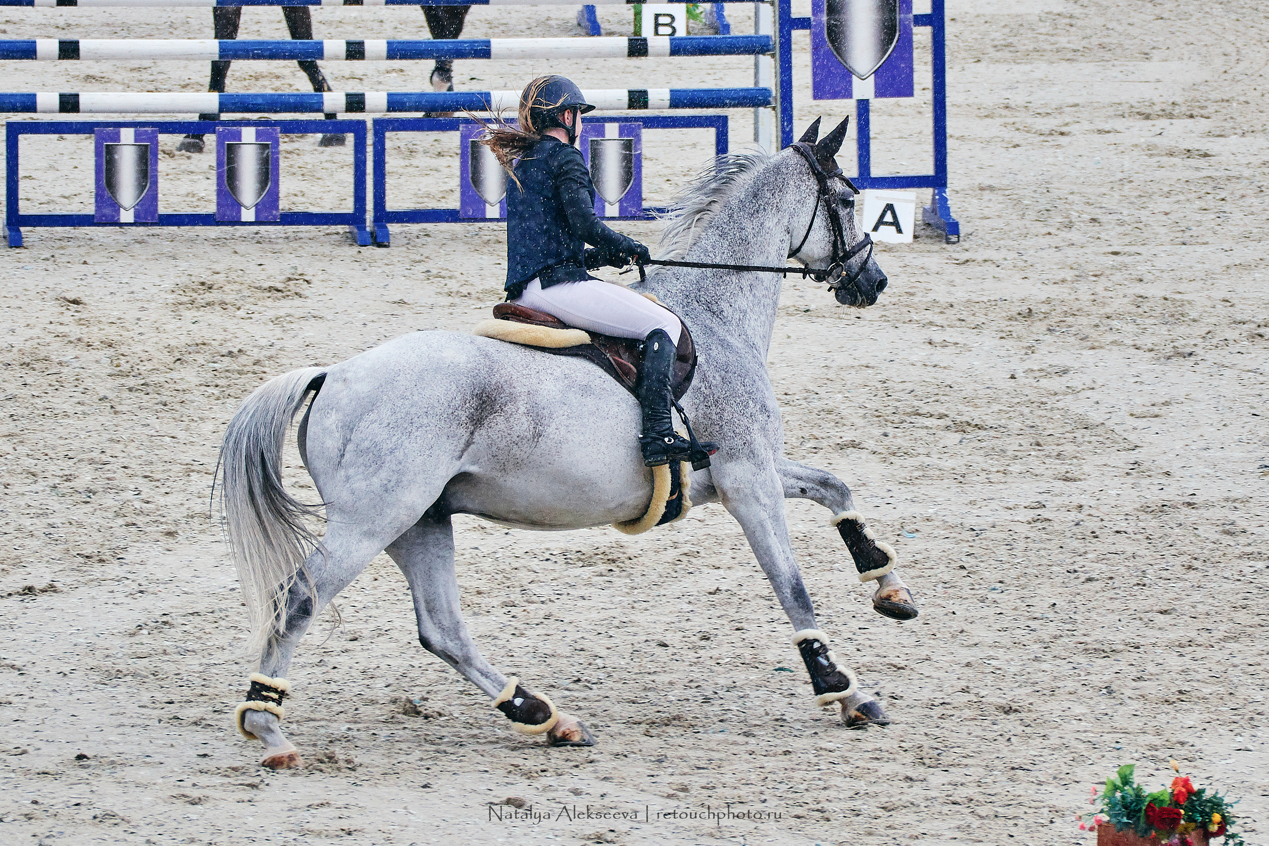 Чемпионат Московской области по конкуру, Maxima Stables | 07'2019. Репортажный фотограф и ретушер в Москве Наталья Алексеева