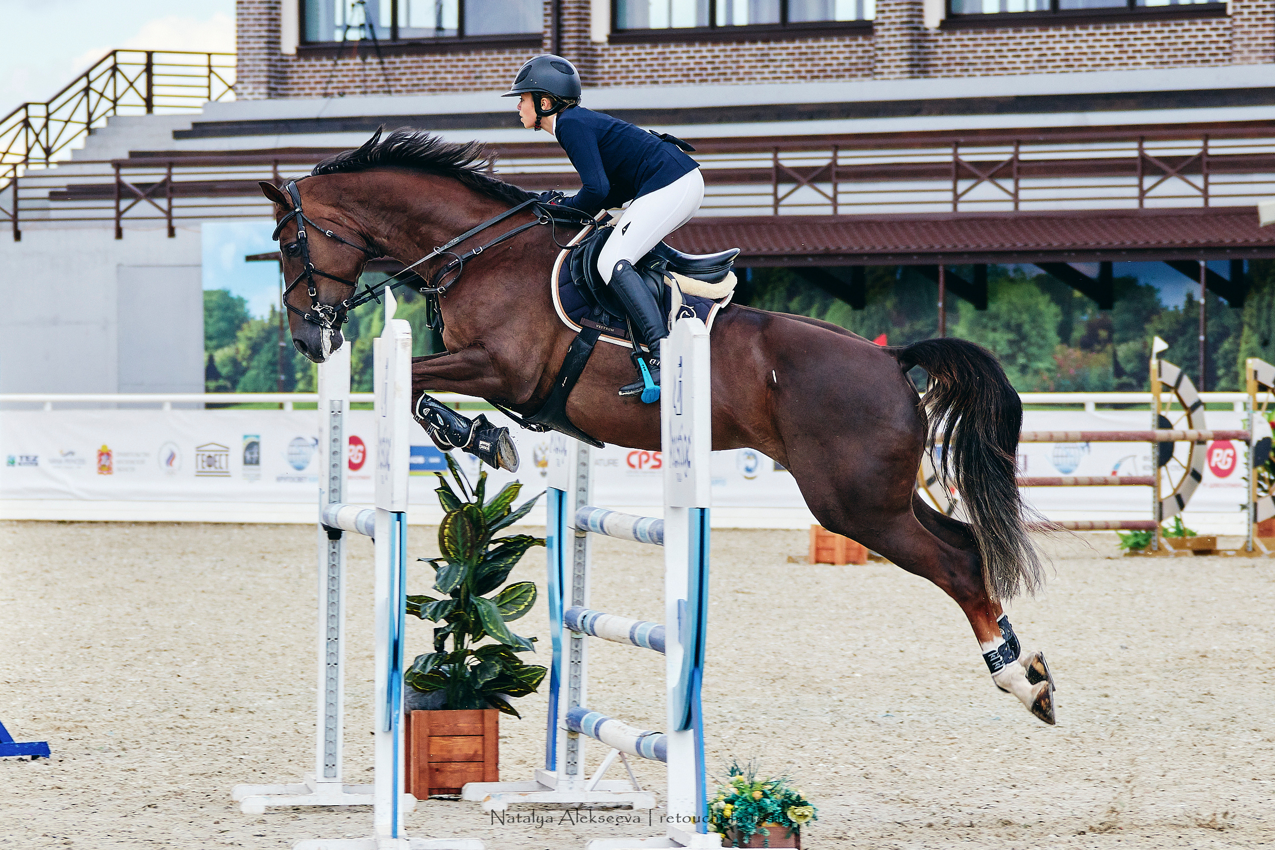Чемпионат Московской области по конкуру, Maxima Stables | 07'2019. Репортажный фотограф и ретушер в Москве Наталья Алексеева