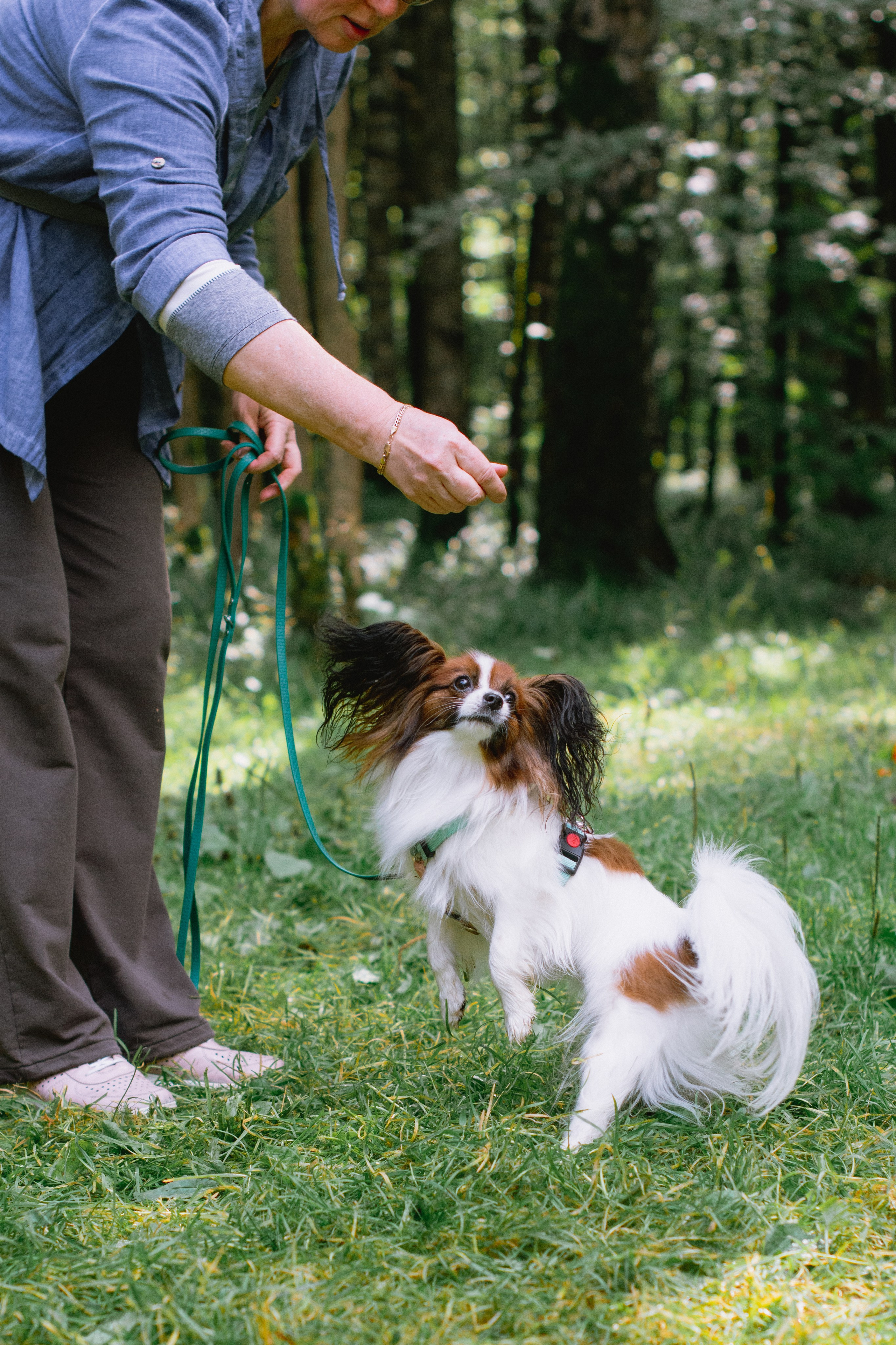 Репортаж спортивного мероприятия с собаками в Москве. Фотограф собак, анималист в Москве Кира Яковлева