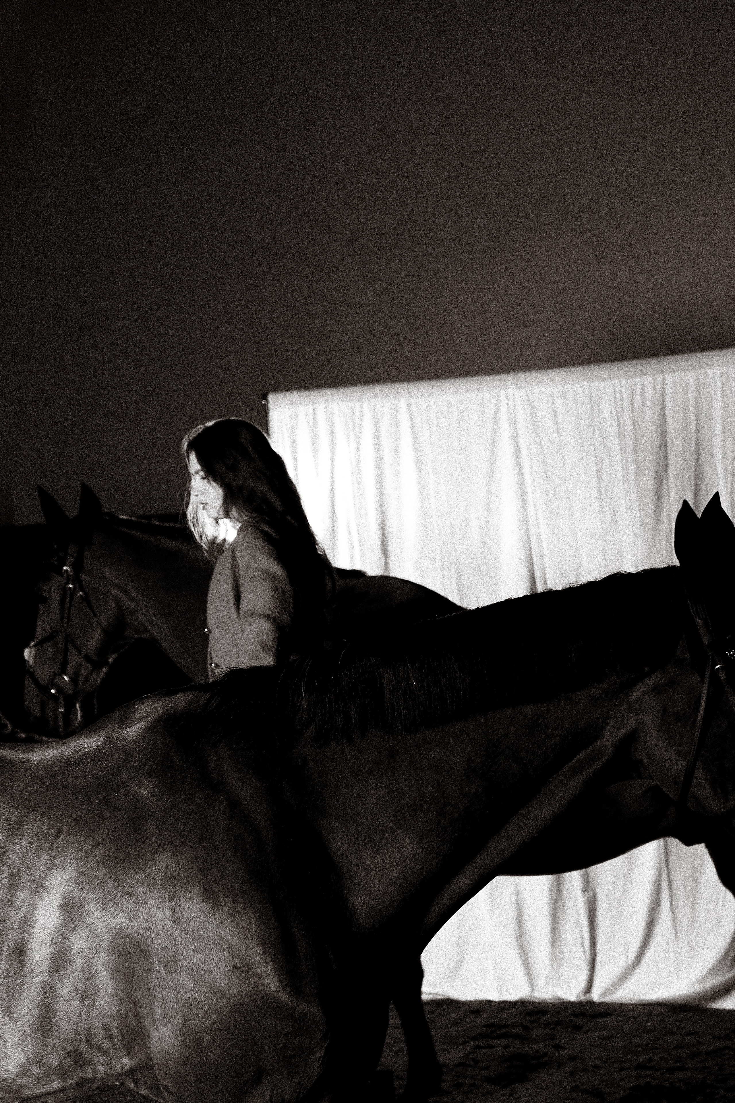 Алиса Олейник, Фардон и Кончелла. Эквицентр Северный. Фотосессии с лошадьми в Москве, Новосибирске