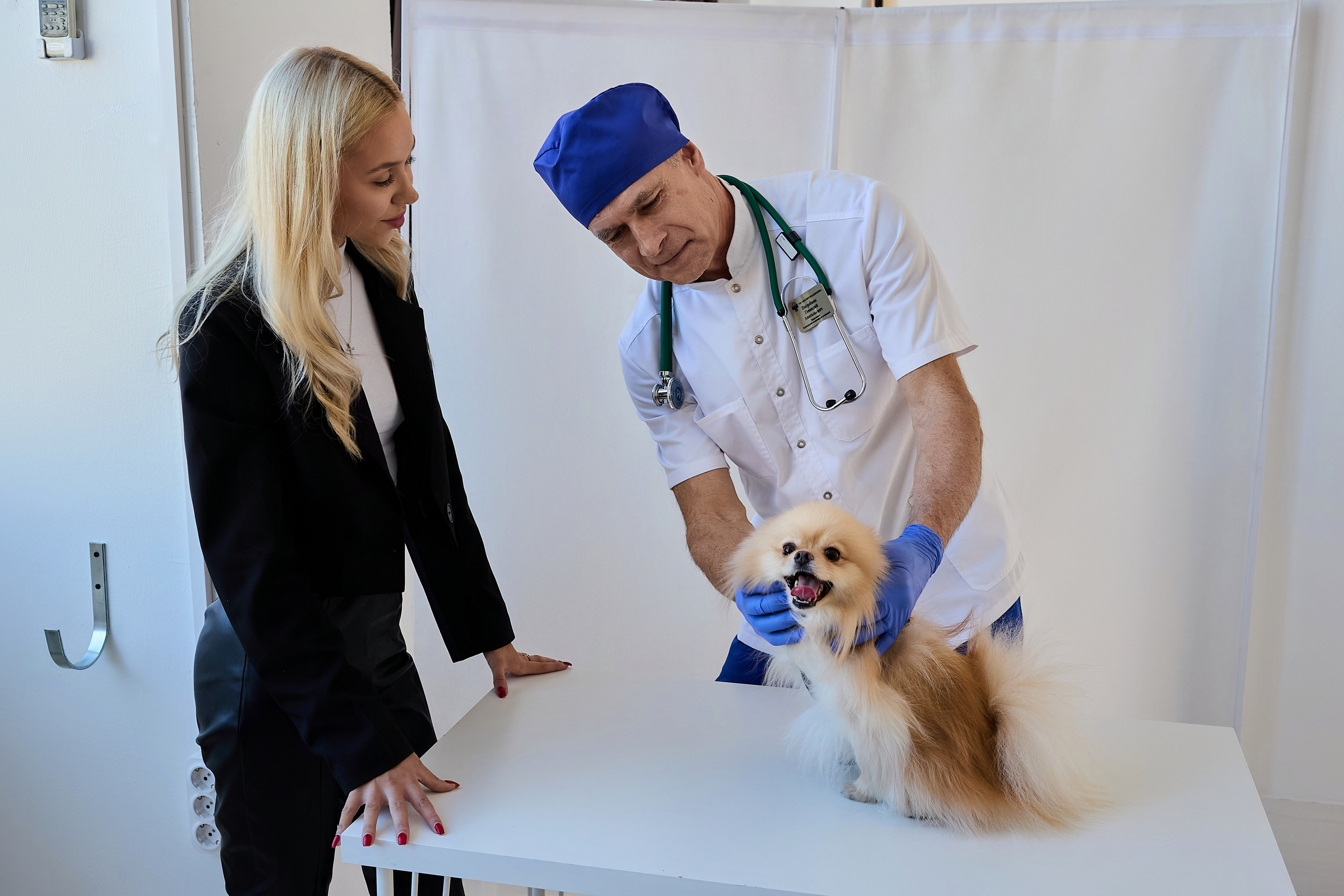 Контент для ветеринарного лендинга правительства Москвы. Фотограф и Видеограф в Москве. Олег Корушев