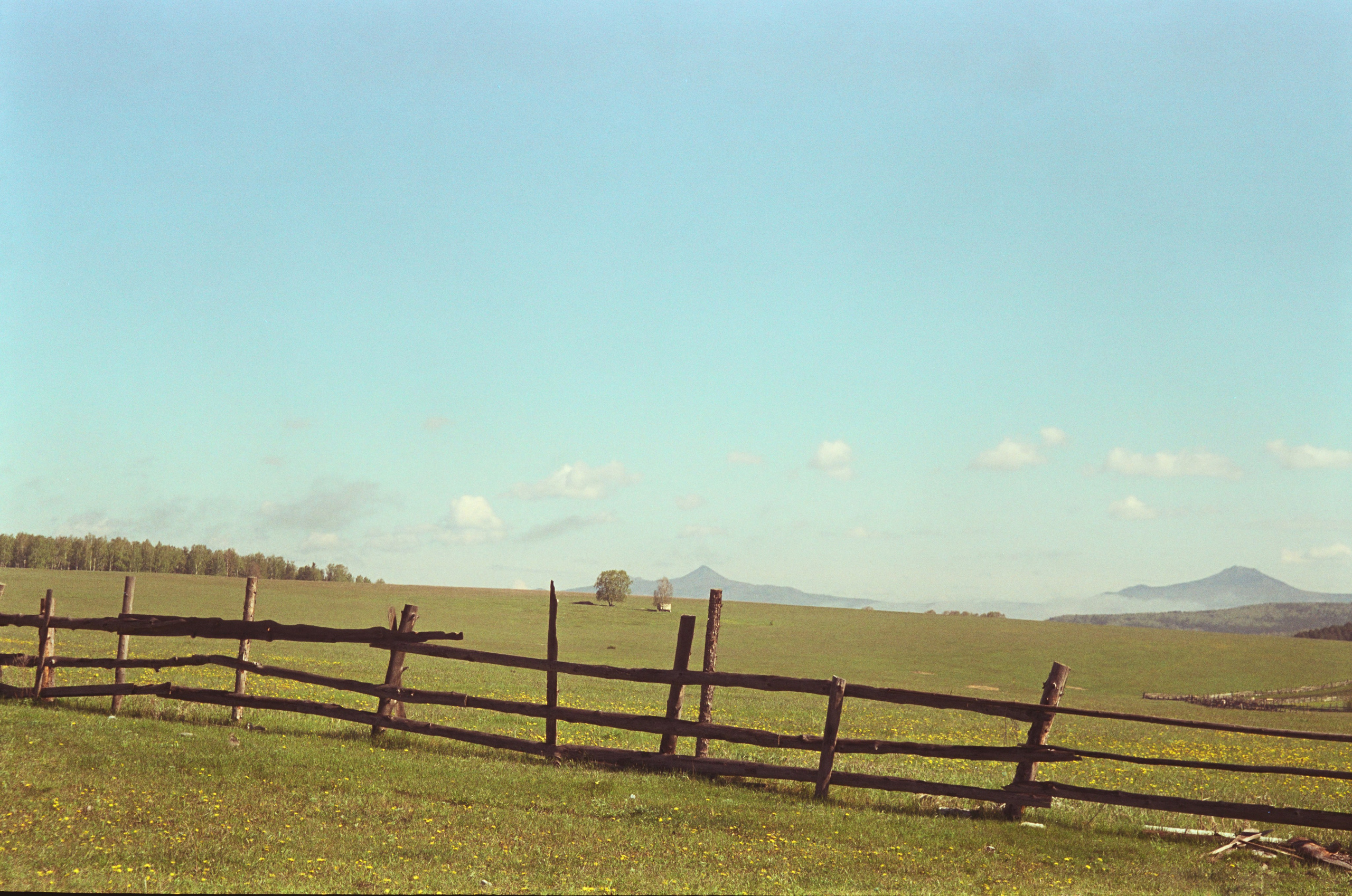 Print it. Творческая, семейная и индивидуальная съемка в Латвии. Фото и видео художник Анна Бутырская