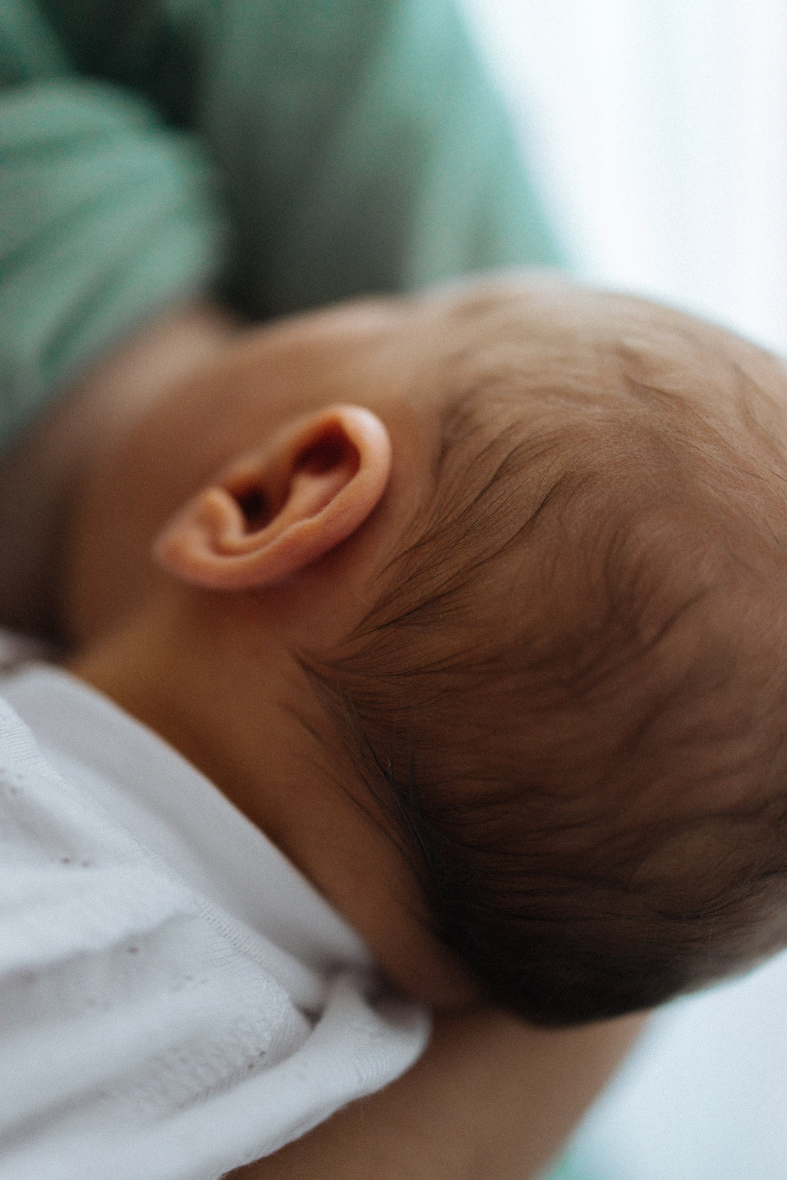 Домашние. Главная