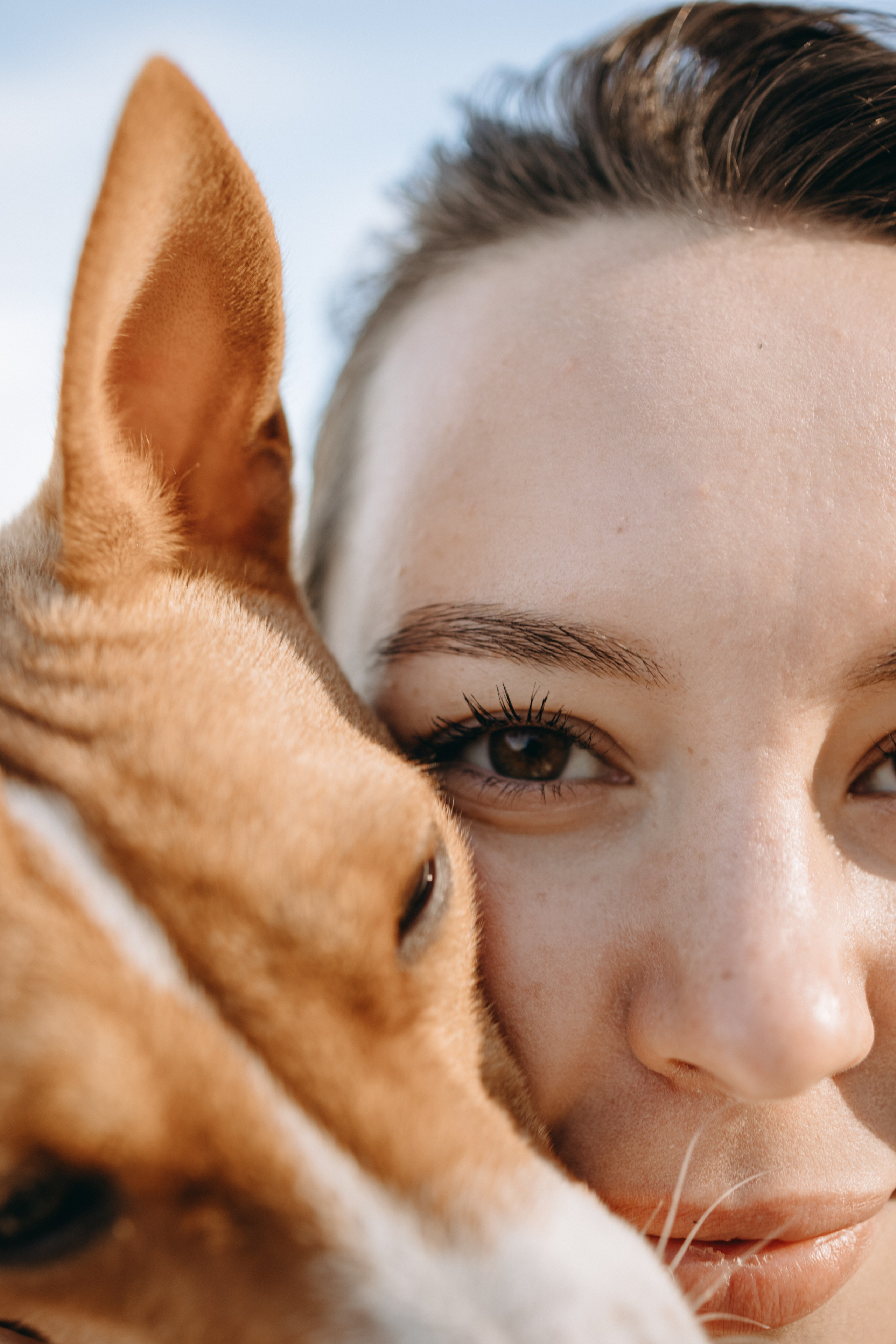 Алиса и Лео. Фотограф — Анималист | Санкт-Петербург