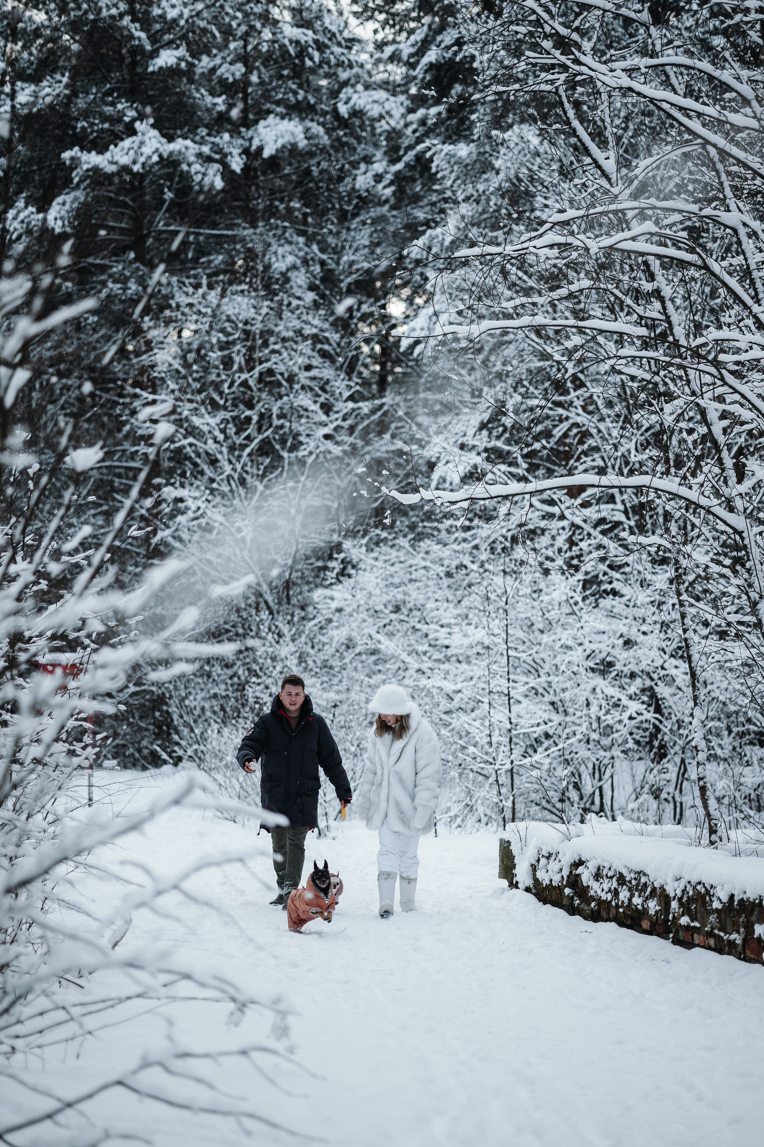 Ребята и их хвостатая семейка. Фотограф — Анималист | Санкт-Петербург