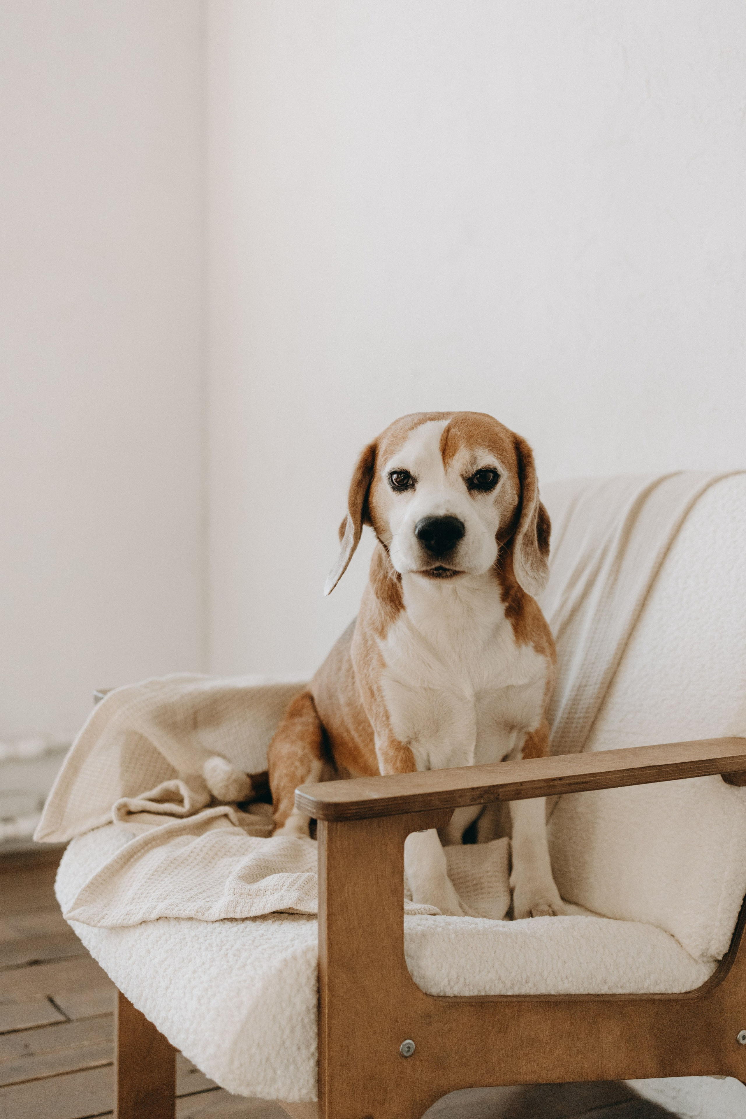 Даня и его семья. Фотограф — Анималист | Санкт-Петербург