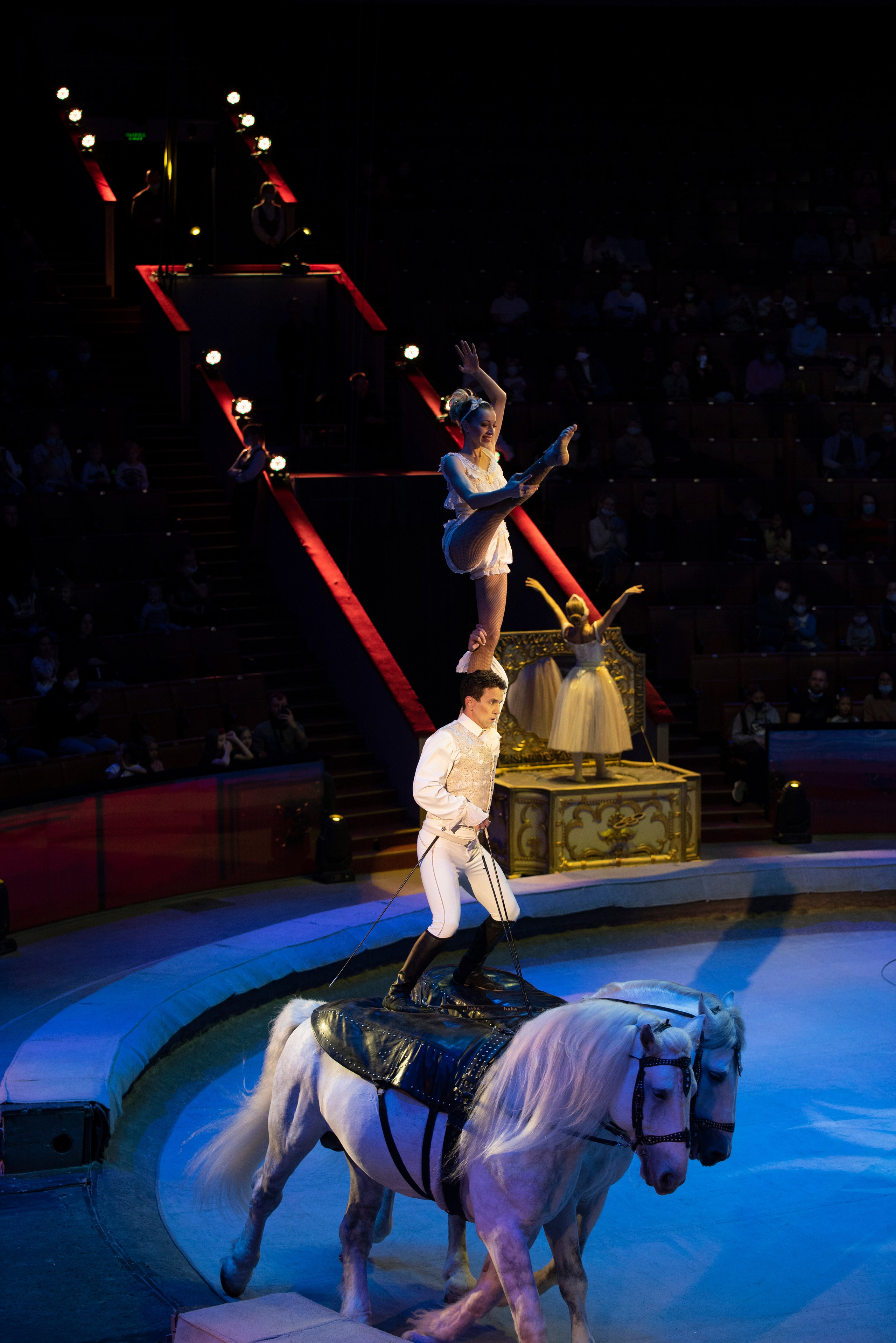 Цирк Запашных — Шоу И100рия. Женский и семейный фотограф в Москве, Железнодорожном Анастасия Кинёва