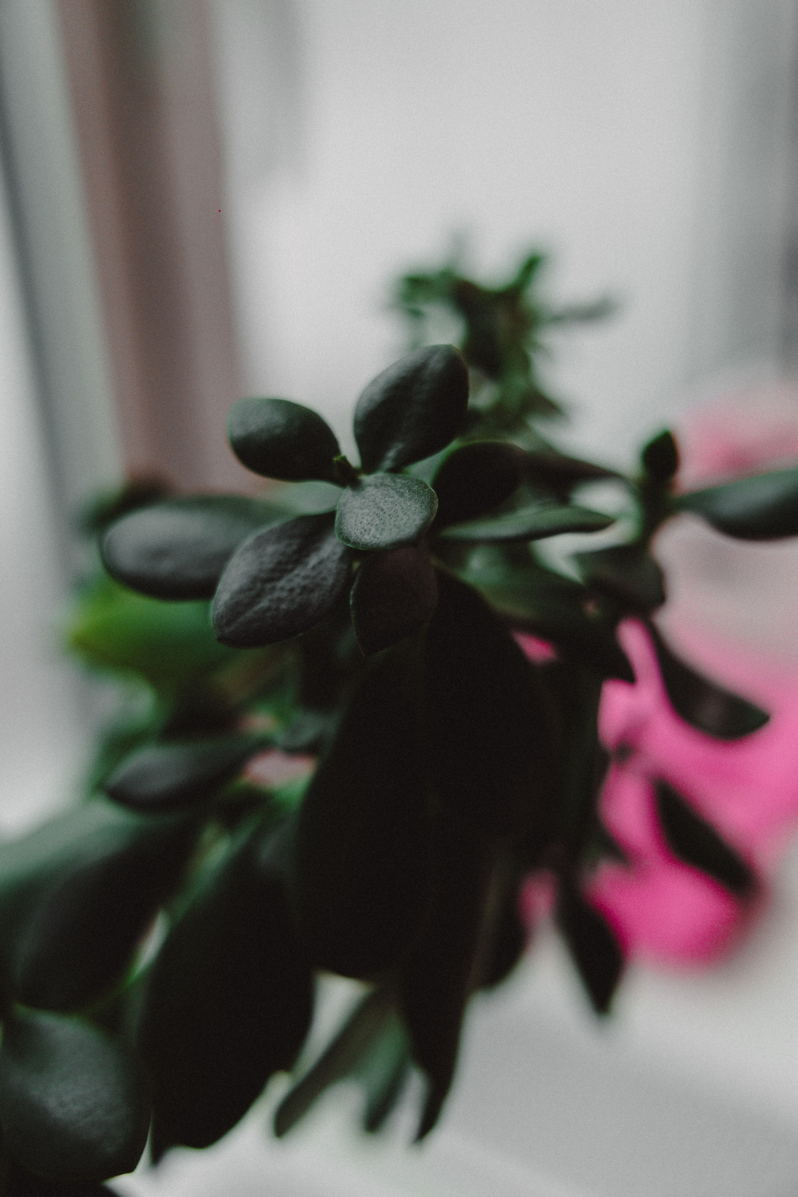 YOGALOGIC — Студия йоги Йогахолик | Москва. ФОТОГРАФ ИРИНА ШАМАТАВА