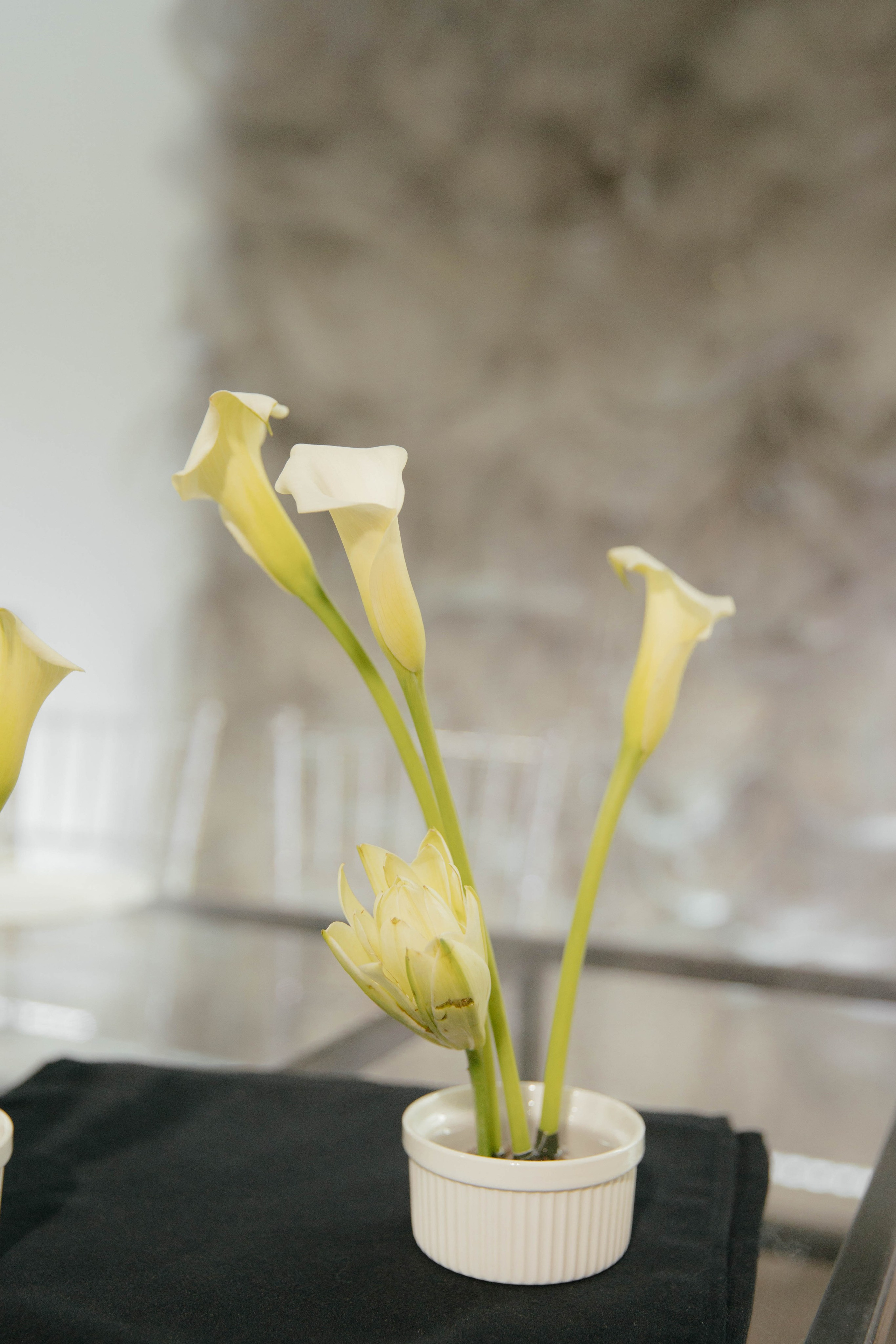 Максим и Арина. Фотограф Барнаул Полина Теплова