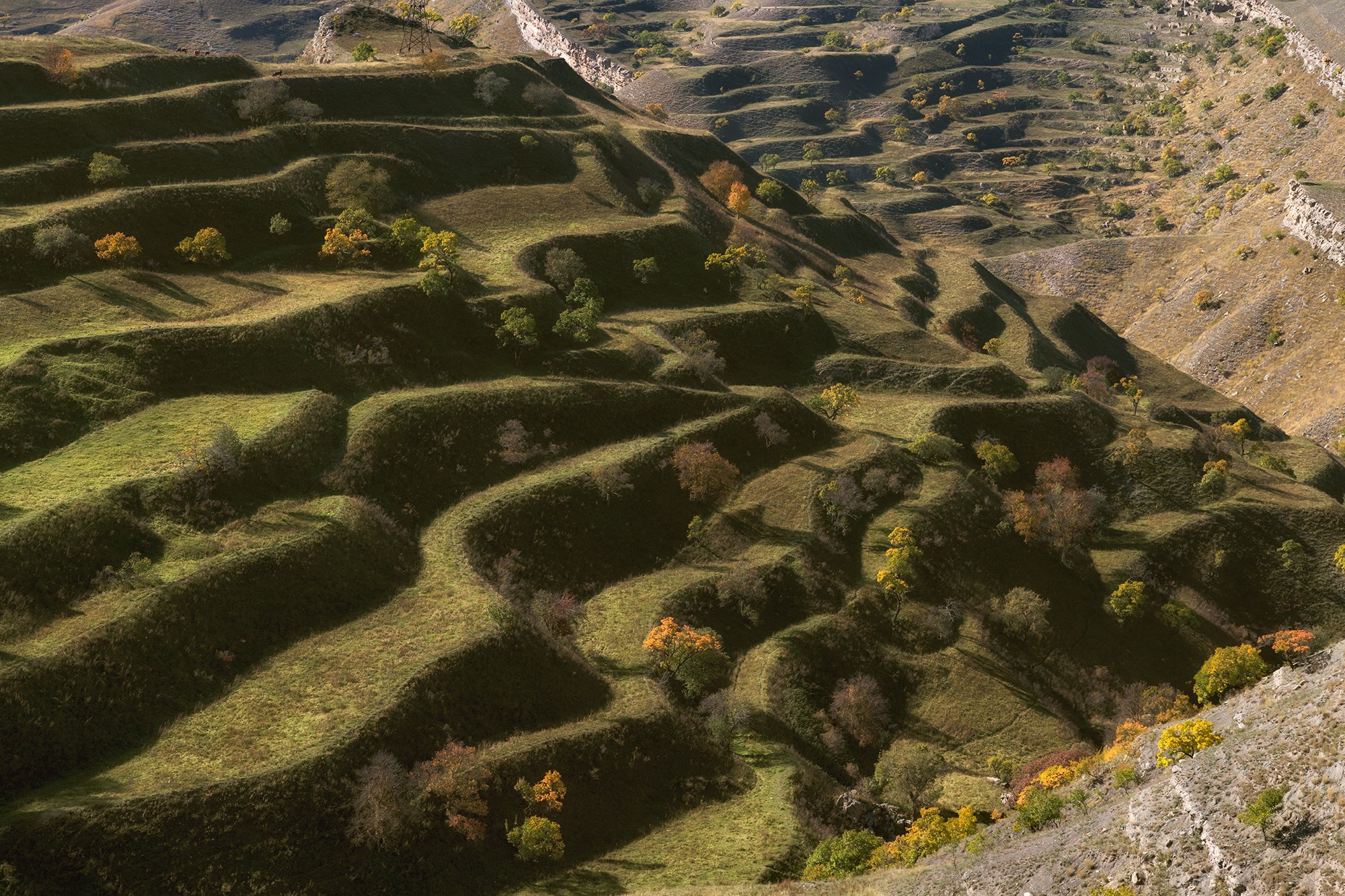 Чохские террасы