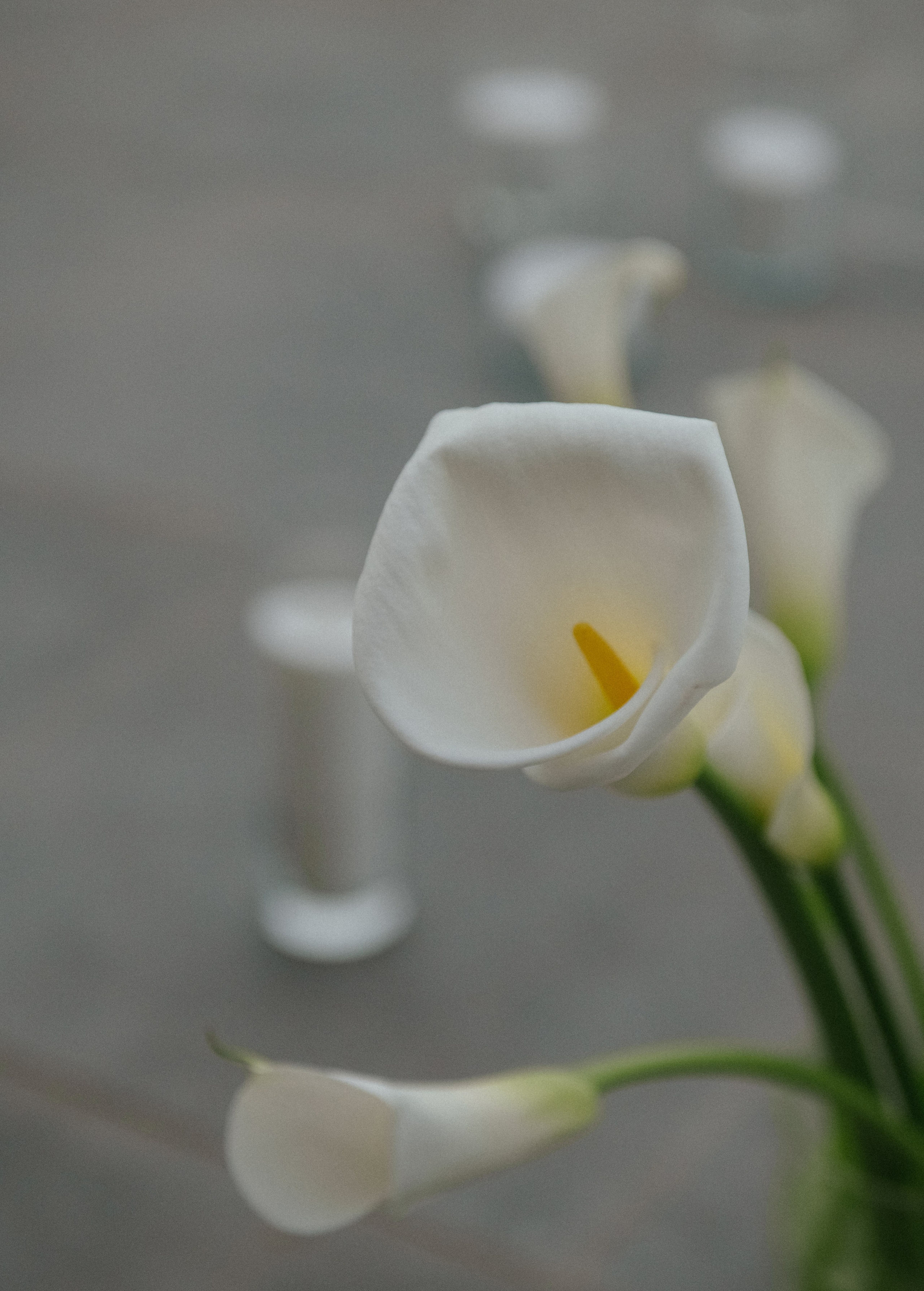 Никита и Анастасия (с.Николаевка). Свадебный, женский, семейный фотограф в Севастополе Юлия Мошенко