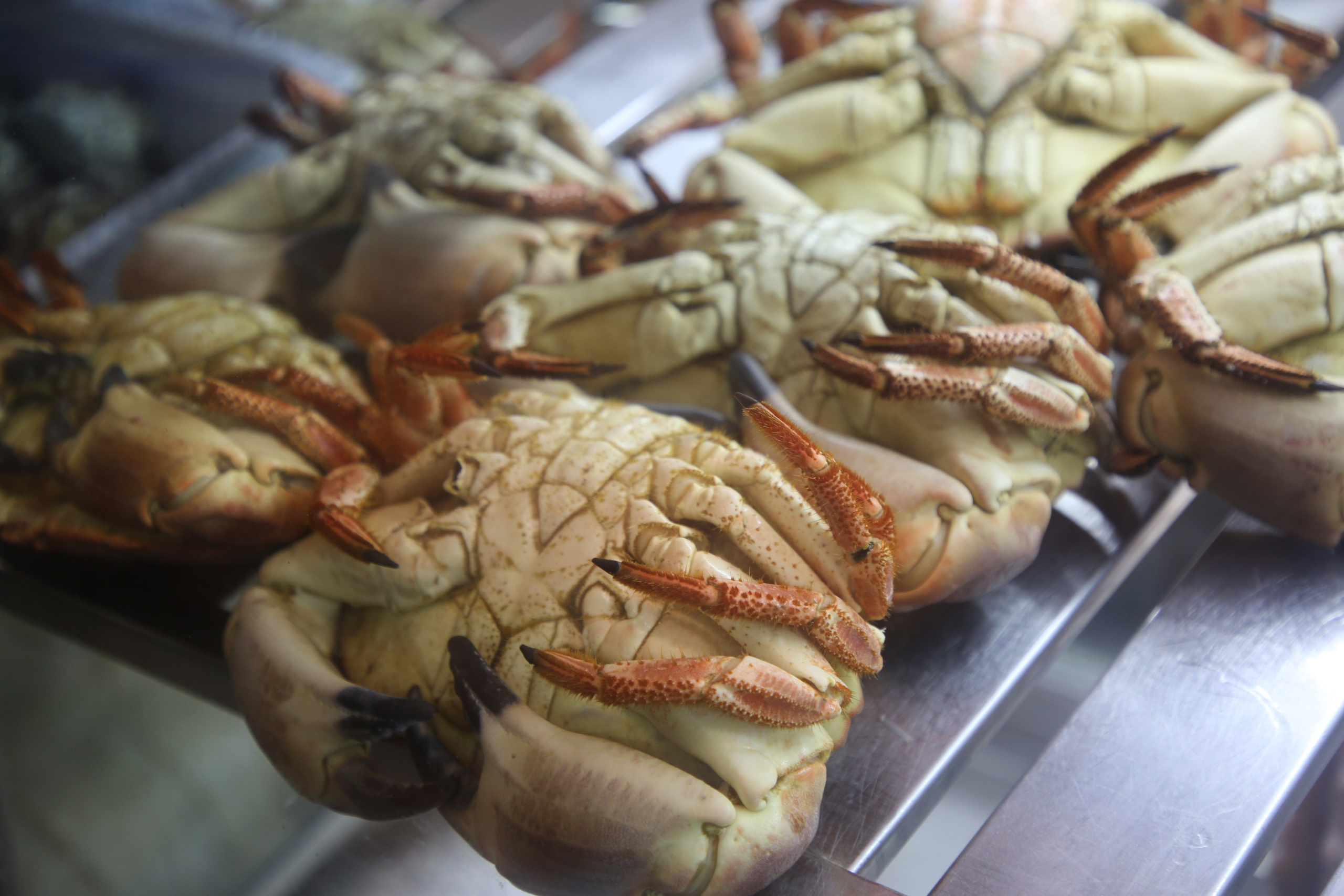 Lisbon, Portugal. Andrey Filippov Photographer