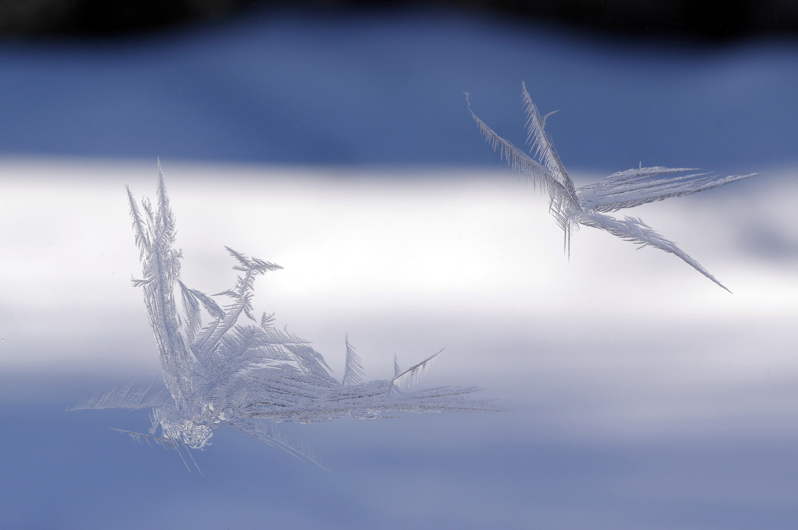 Иней на стекле.Зима.Мороз.