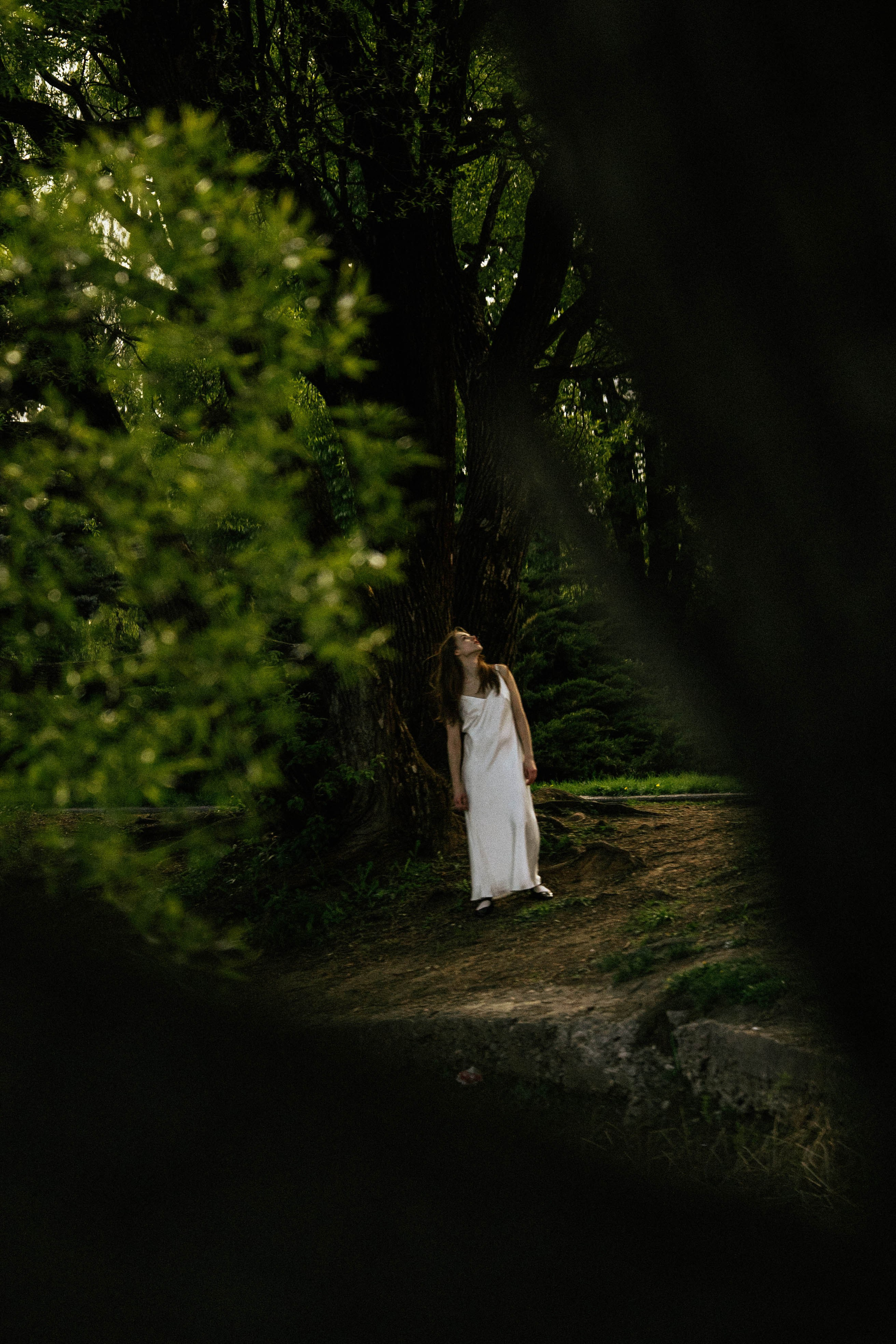 Галерея. Beardy Pix