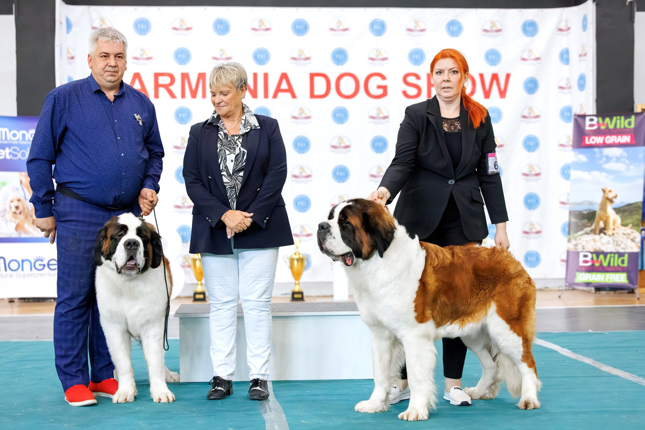 Ереван 2х CACIB 29-30.04.2025. Фотограф-анималист Юлия Германика