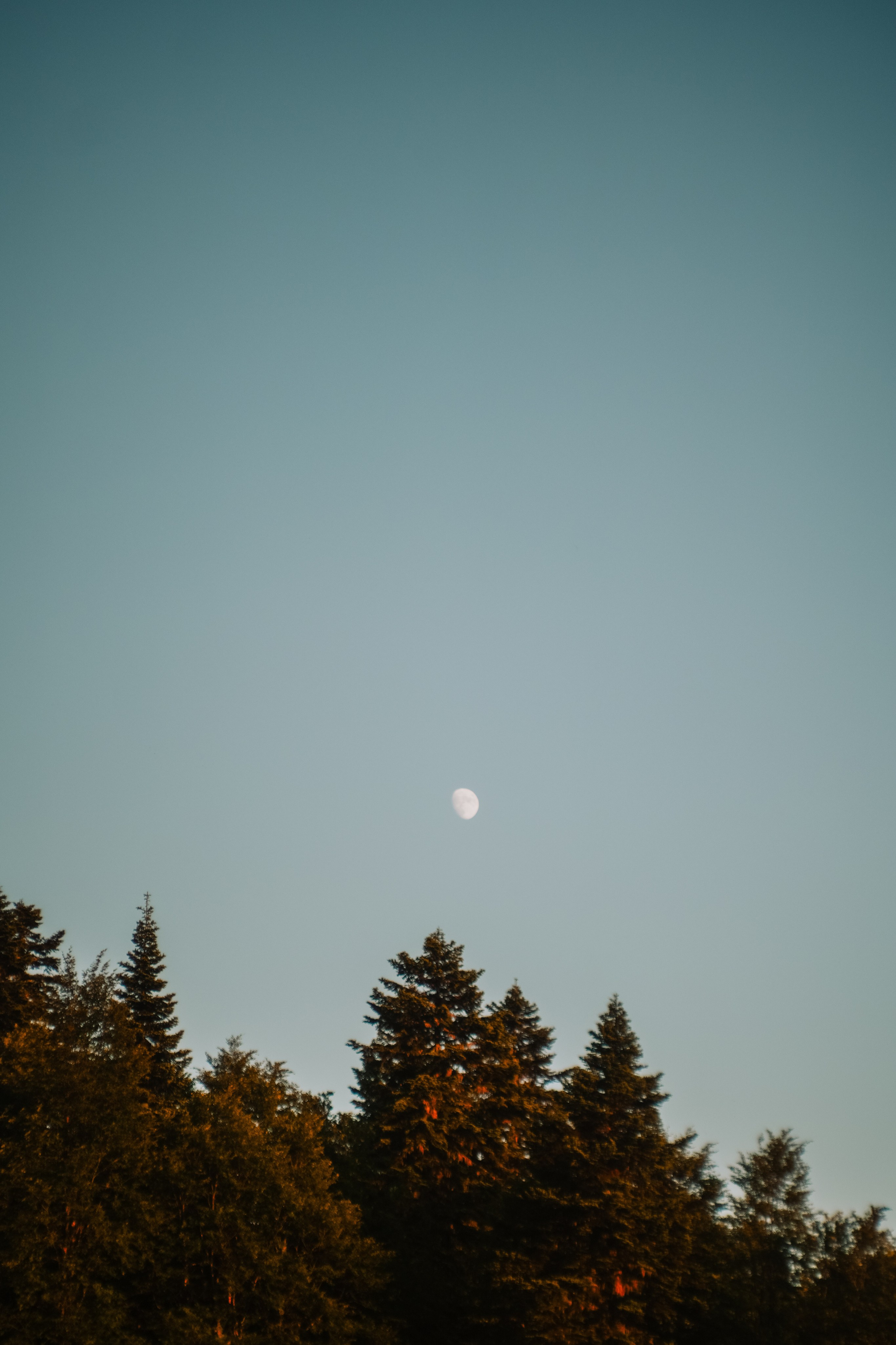 Нахазо ✽ Июль. Репортажный фотограф | Роза Хутор Красная Поляна Сочи Сириус